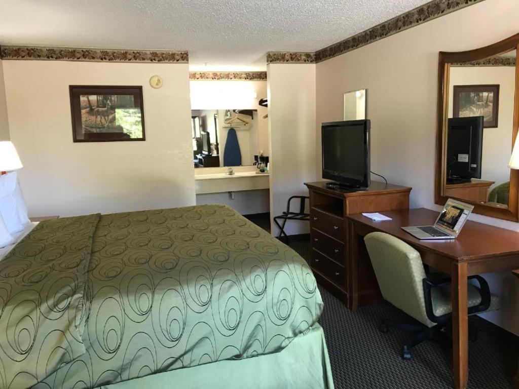 Budget Single Room photo 1