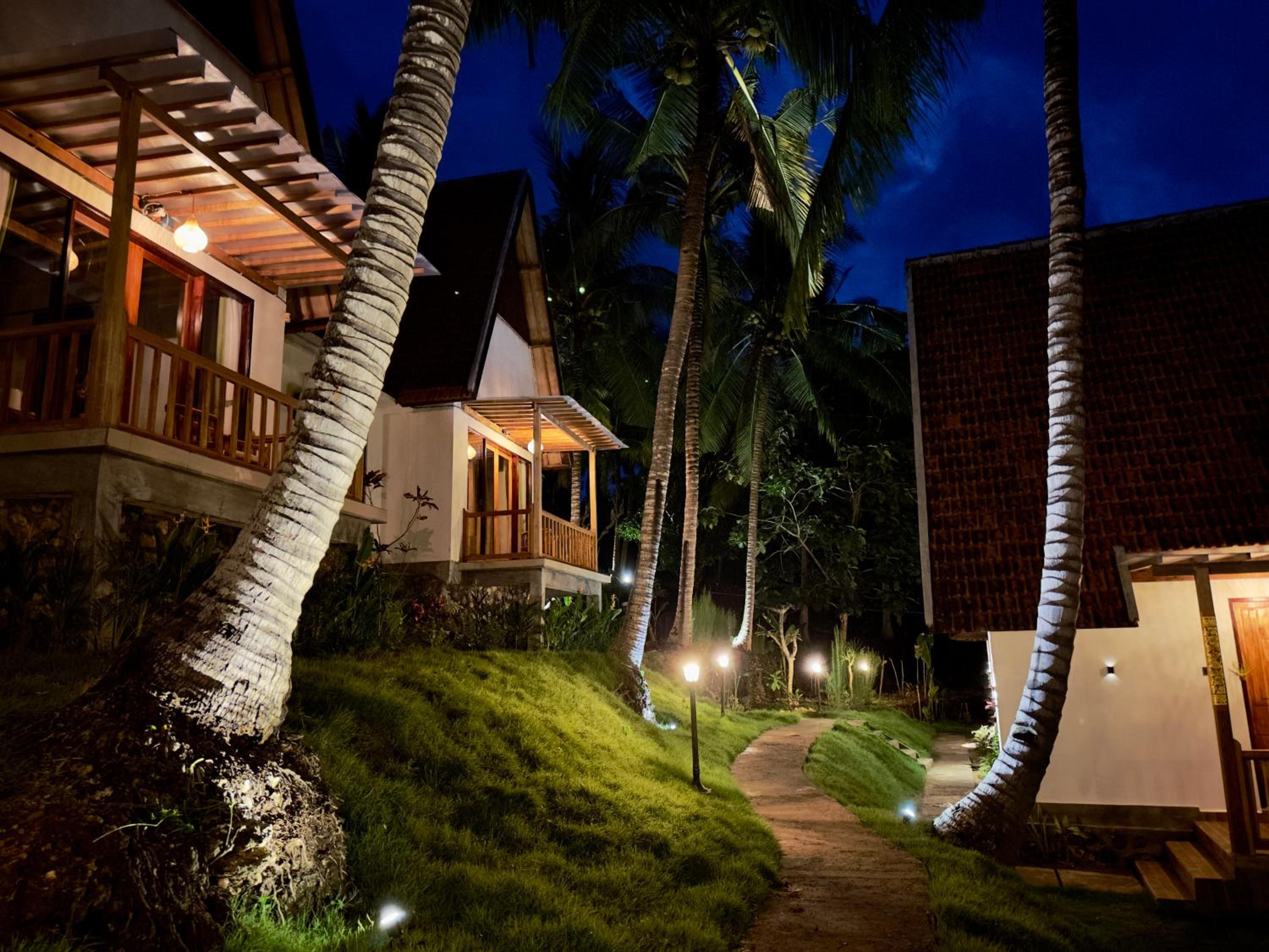 Suite with Jungle View - Photo 17