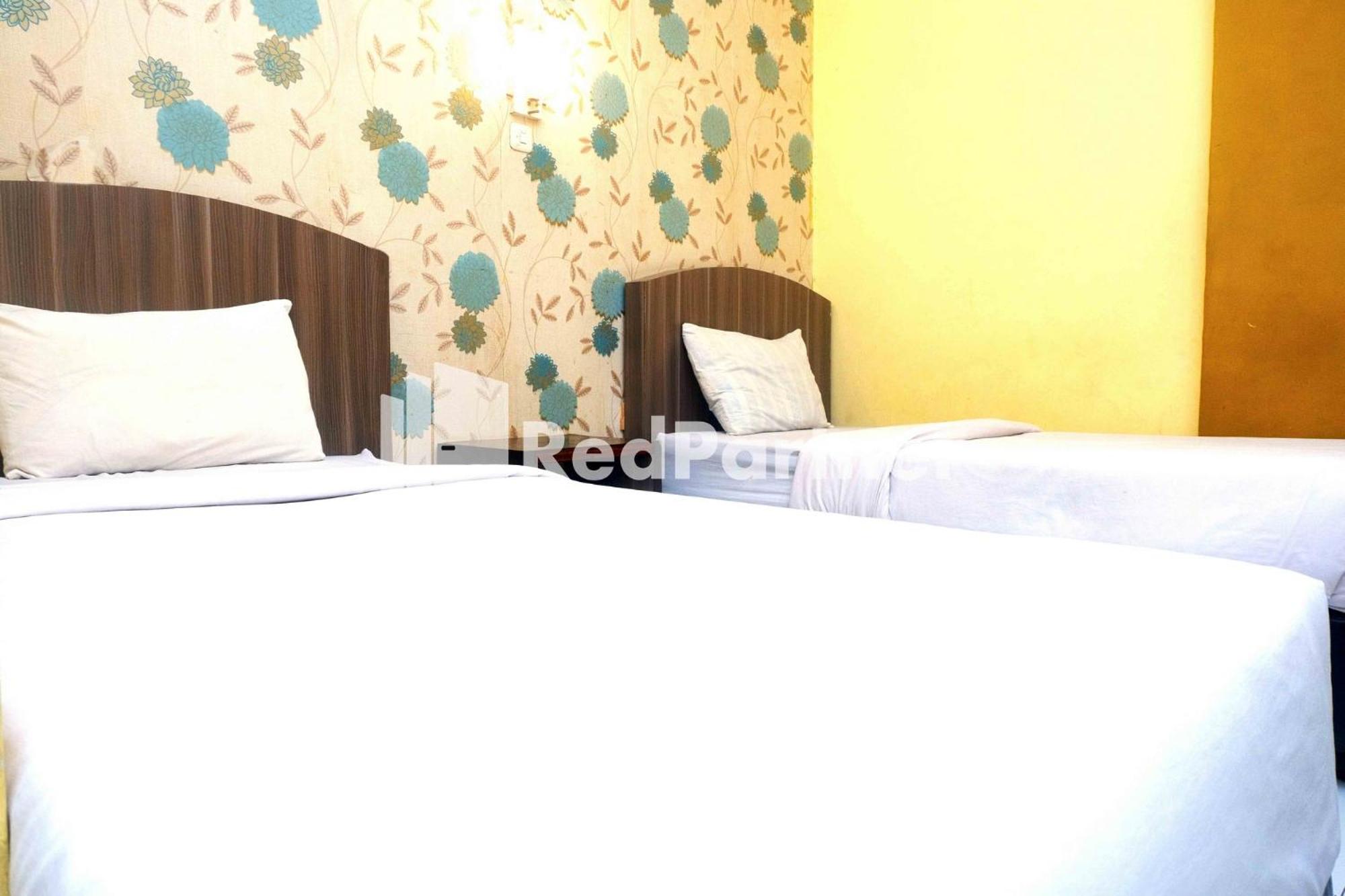 Twin Room - Photo 4