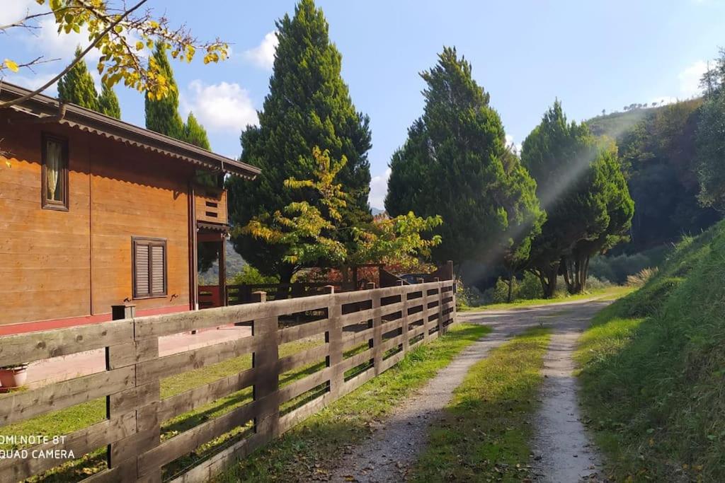 Three-Bedroom Chalet photo 2