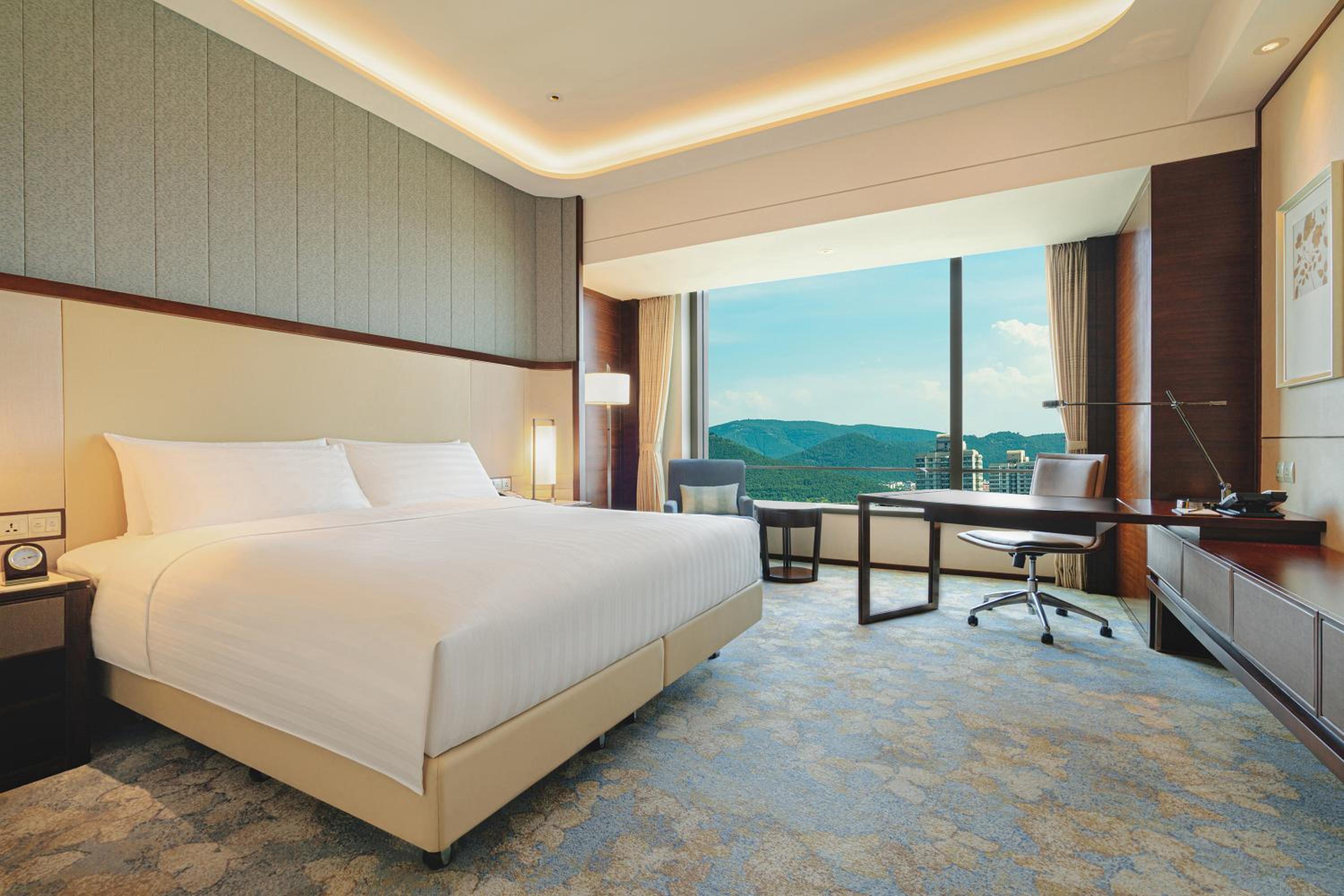 Deluxe King Room photo 1