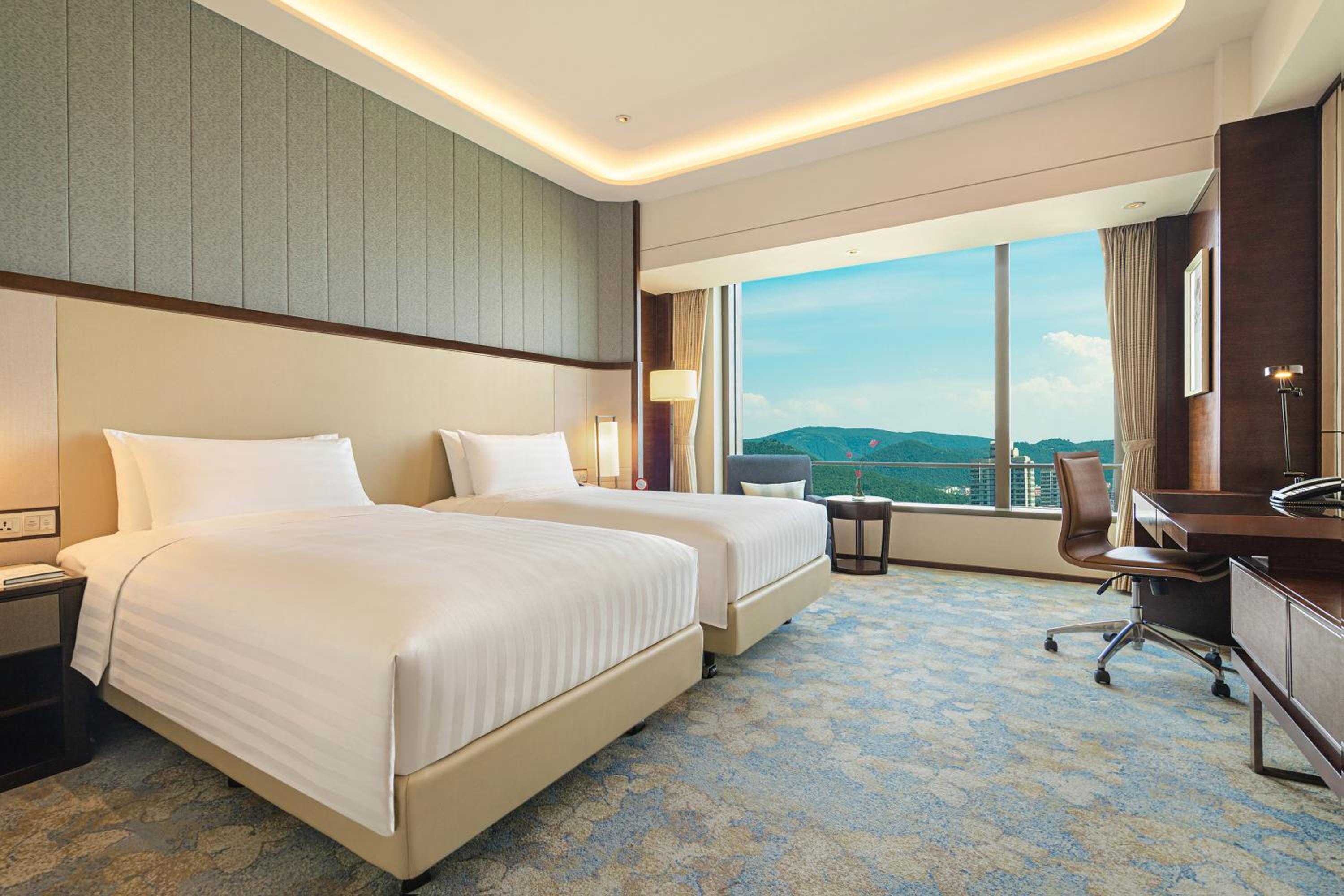 Deluxe Twin Room photo 1