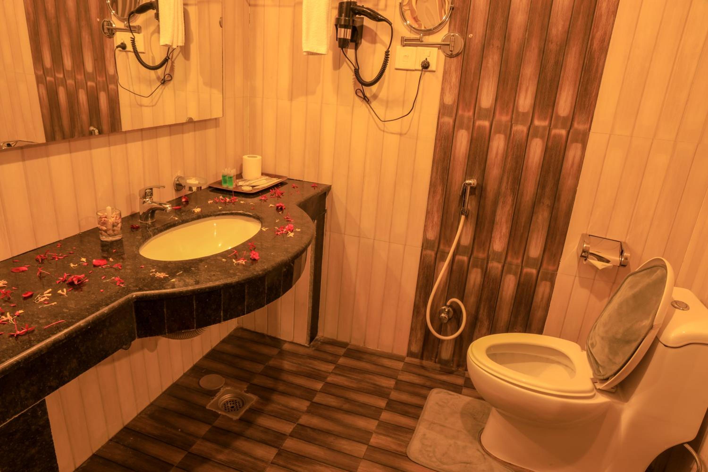 Deluxe Room photo 2