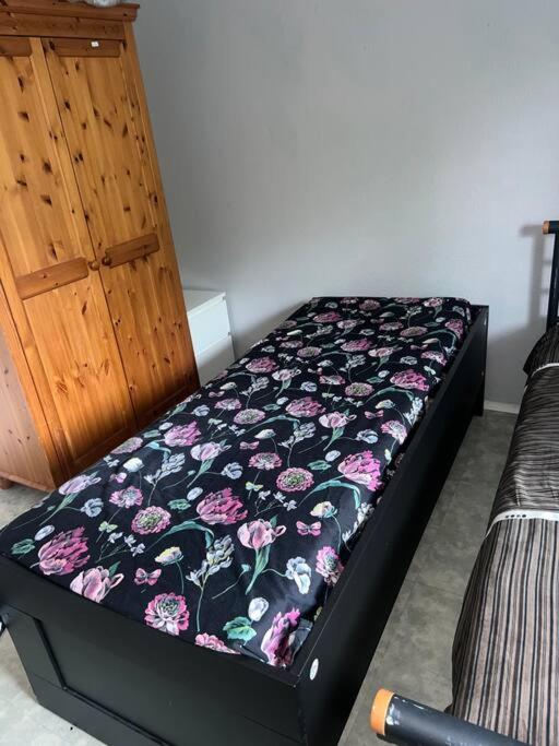 Mixed Dormitory Room