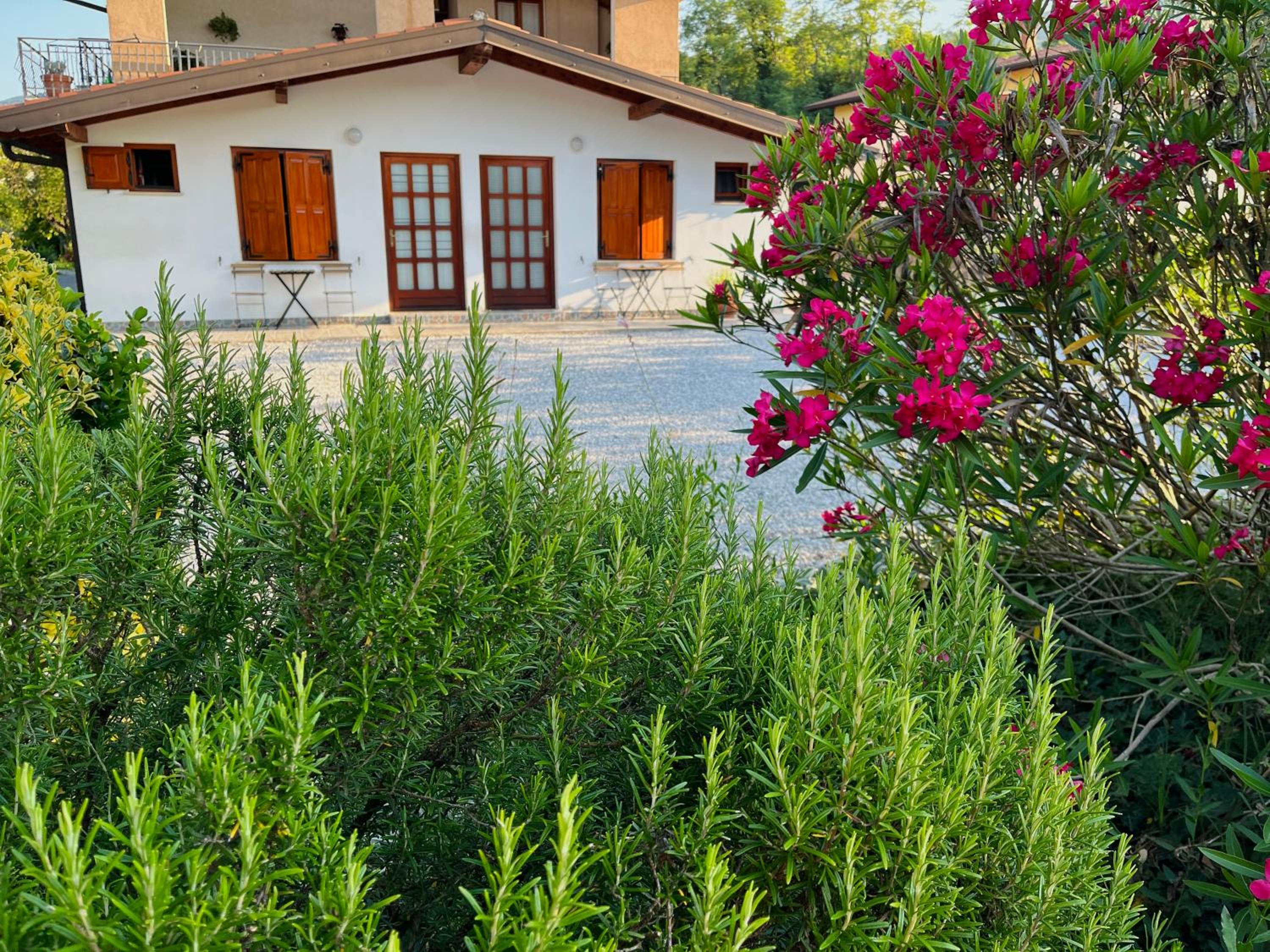 Studio with Garden View photo 1