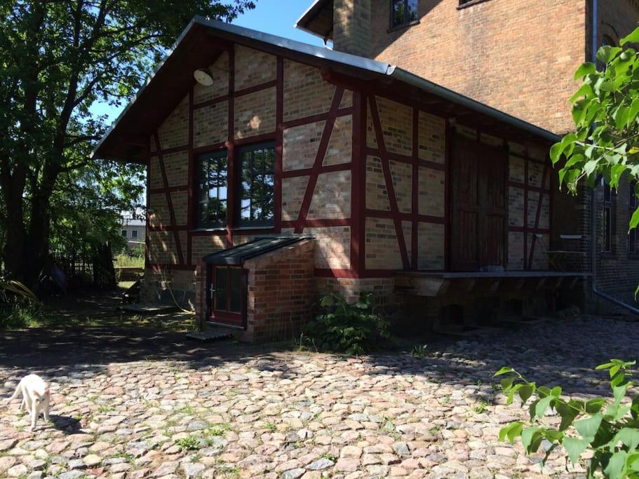 Studio with Terrace photo 3