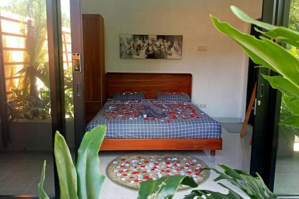 One-Bedroom House photo 2