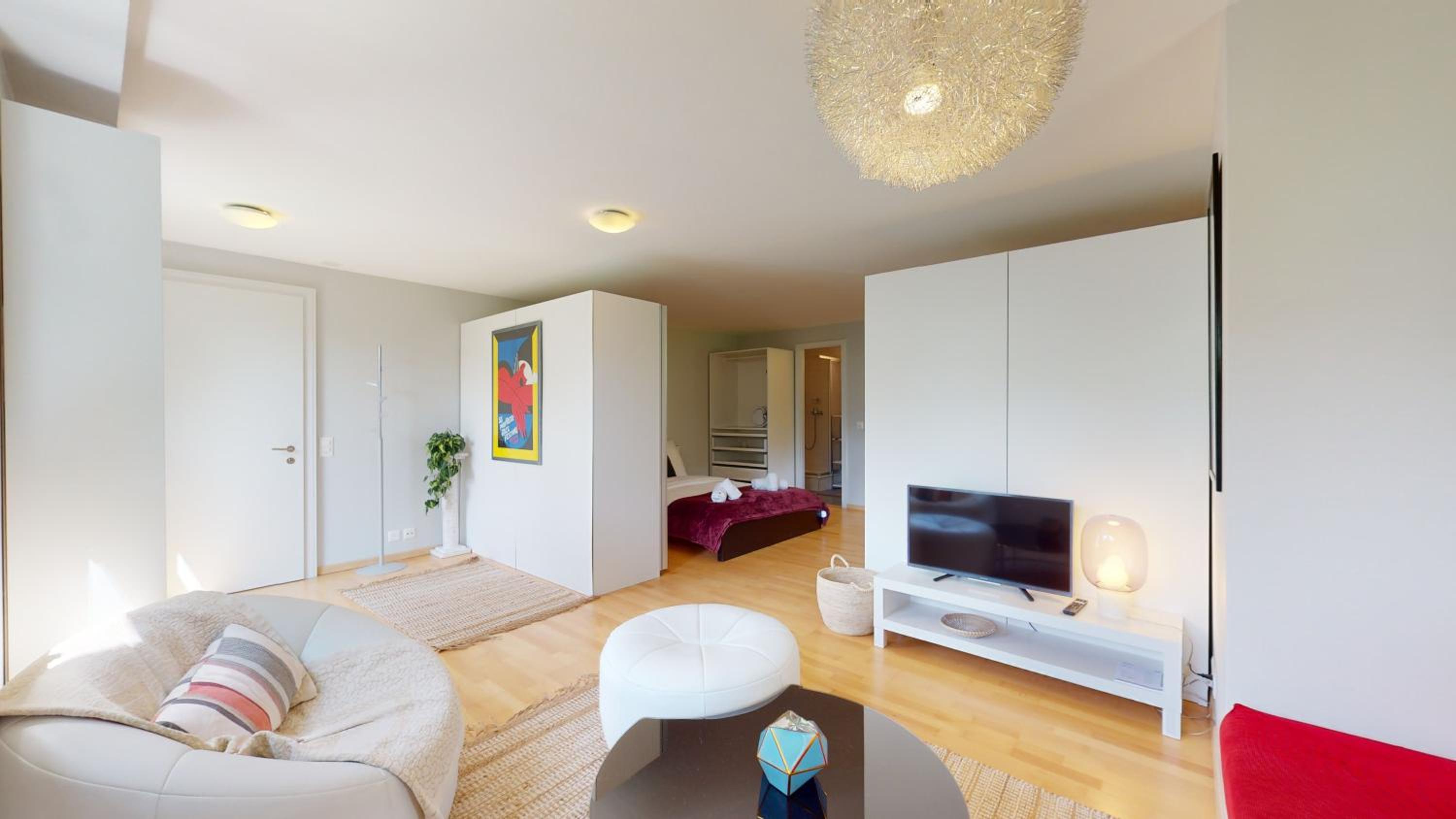 Studio with Terrace photo 3