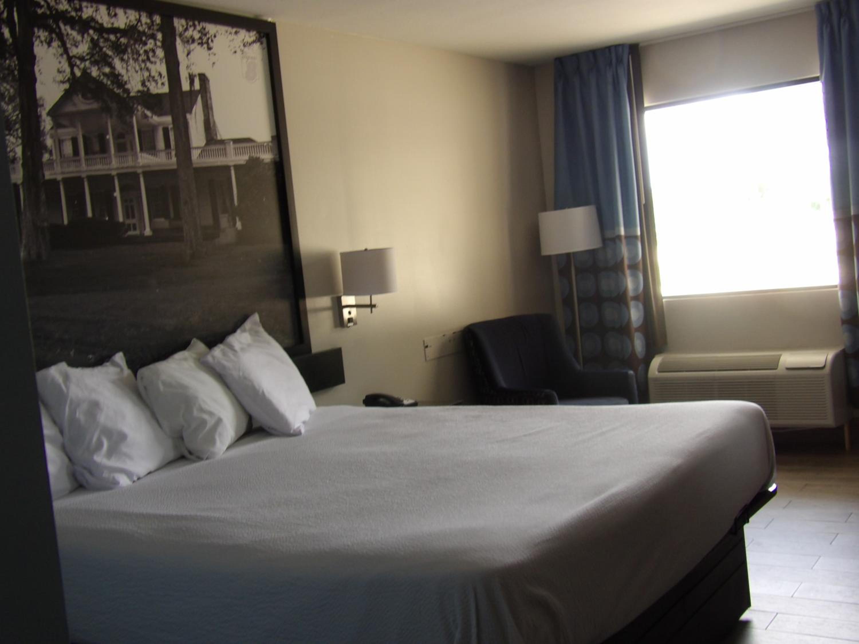 King Room - Non-Smoking - Photo 2