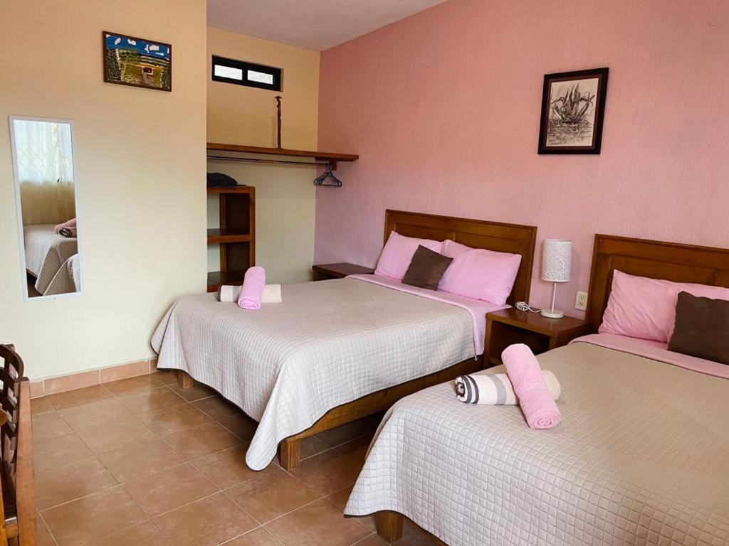 Double Room with Two Double Beds photo 3