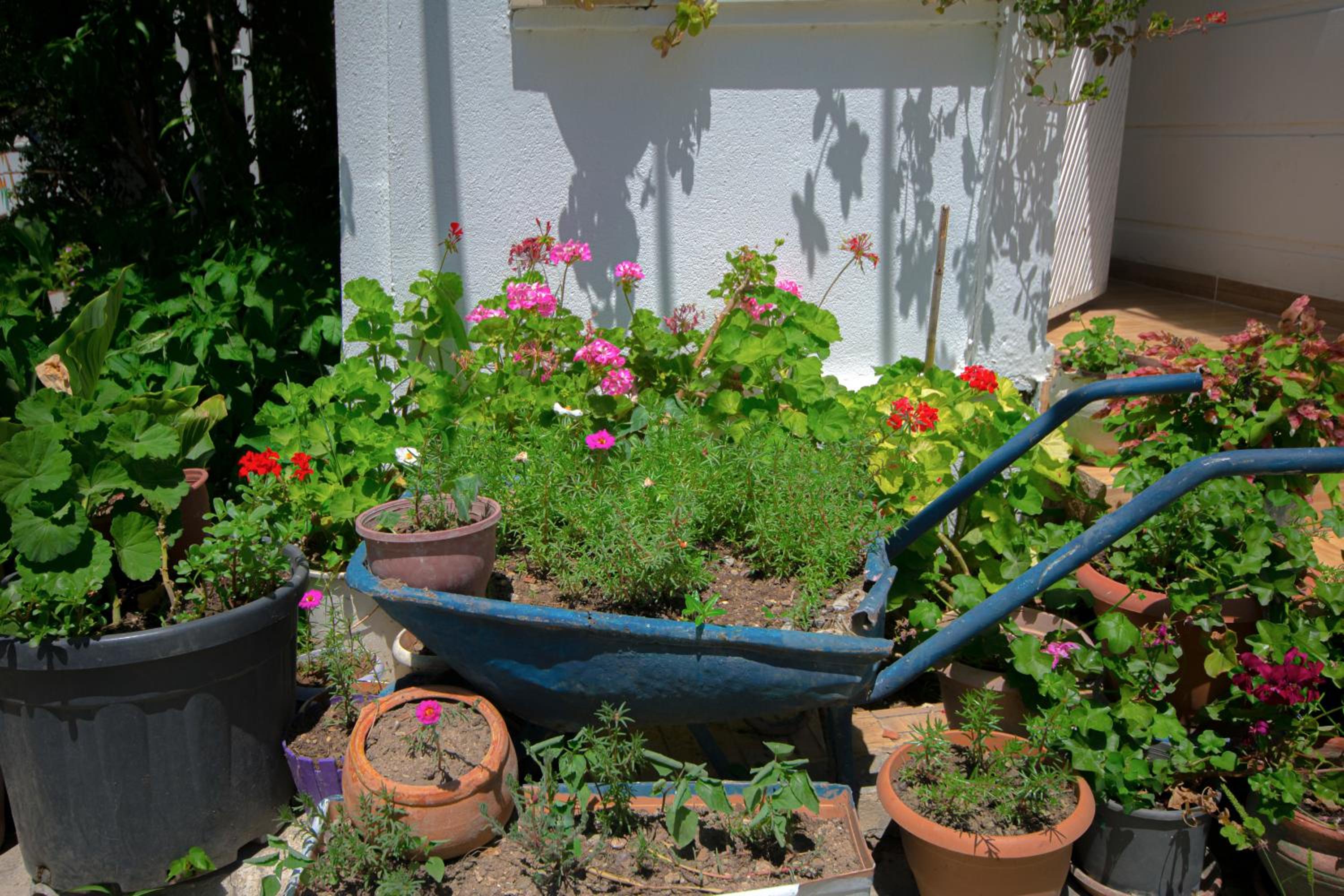 Apartment with Garden View - Photo 4