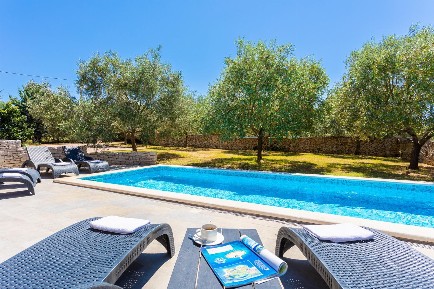 Villa photo 1