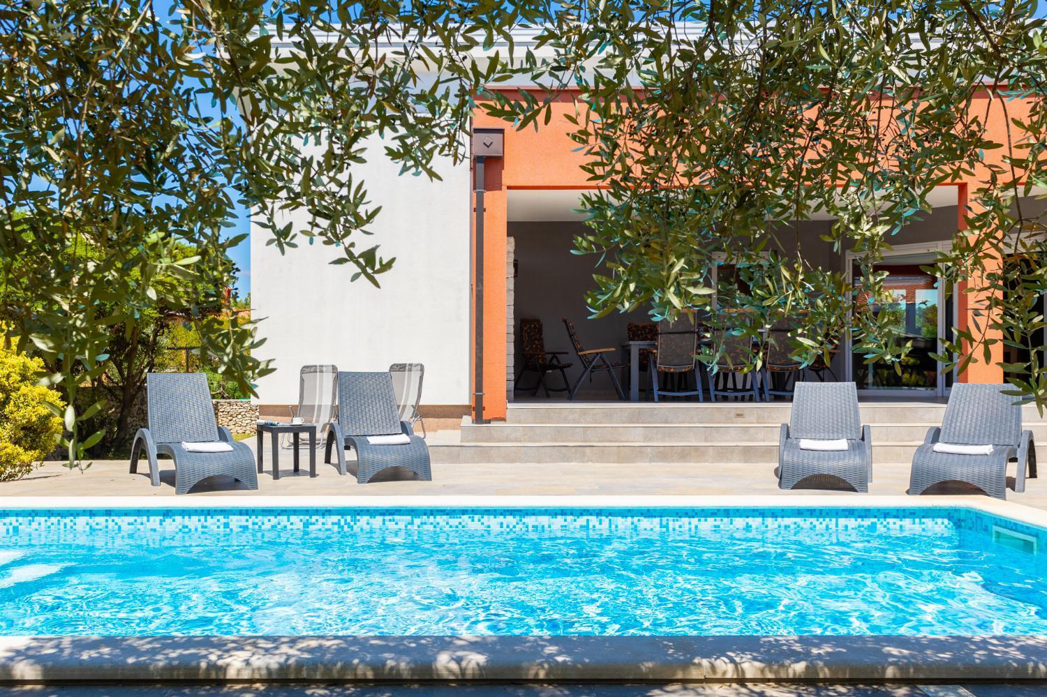 Four-Bedroom Villa photo 2