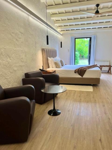 Suite Junior con Terraza