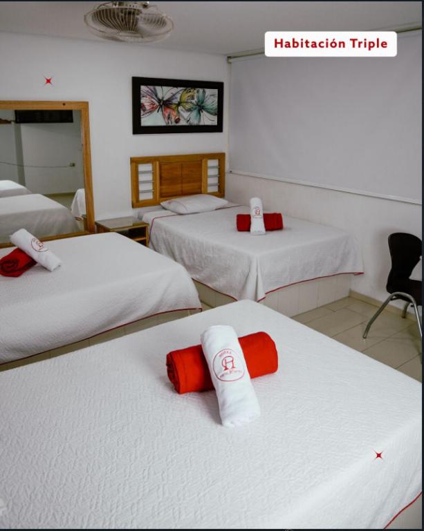 Triple Room photo 2