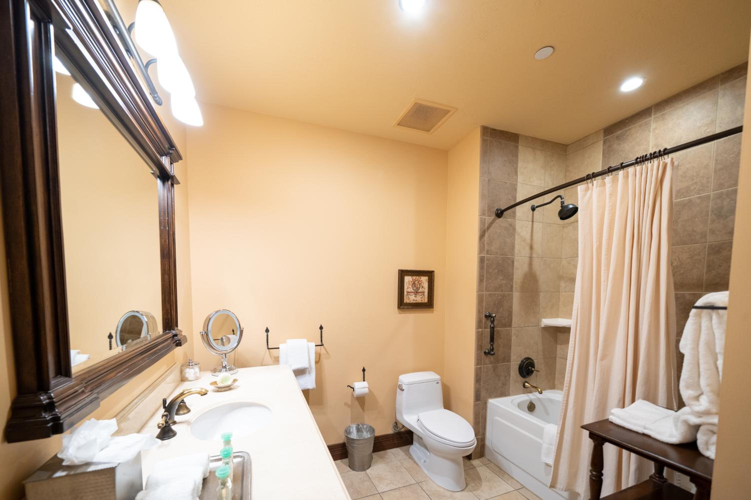 King Suite - Photo 2
