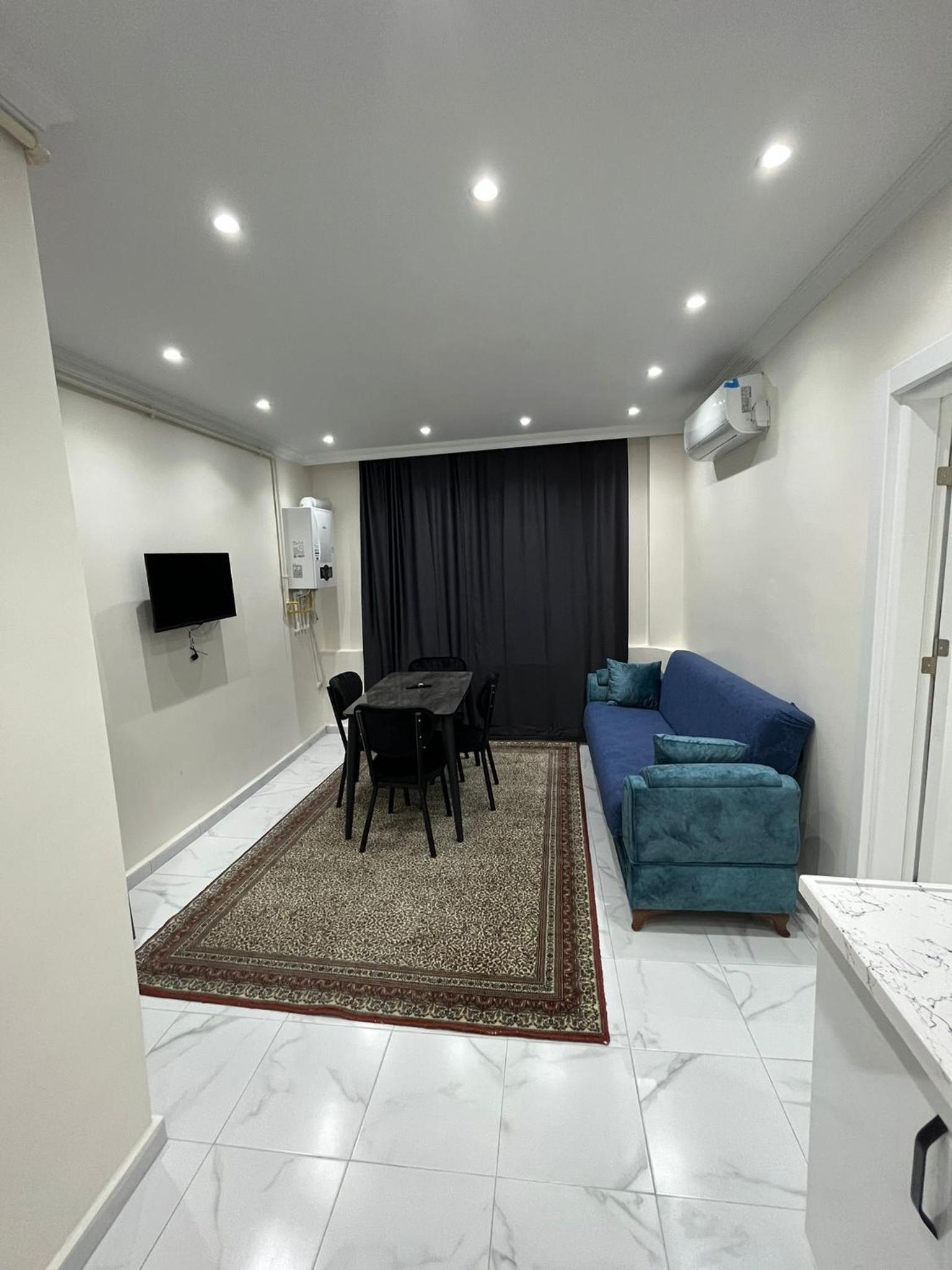 One-Bedroom Apartment photo 3