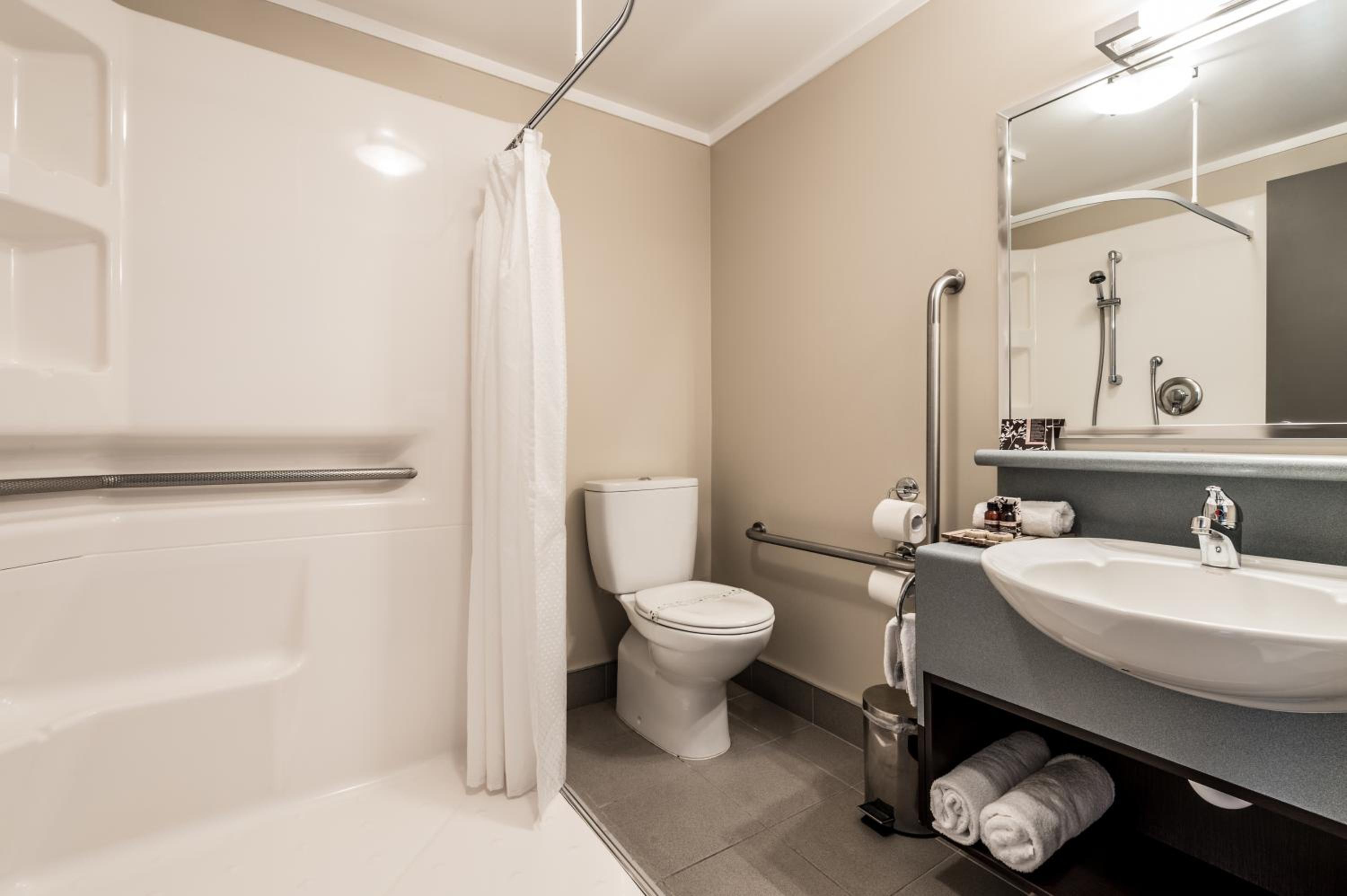 One-Bedroom Suite photo 2