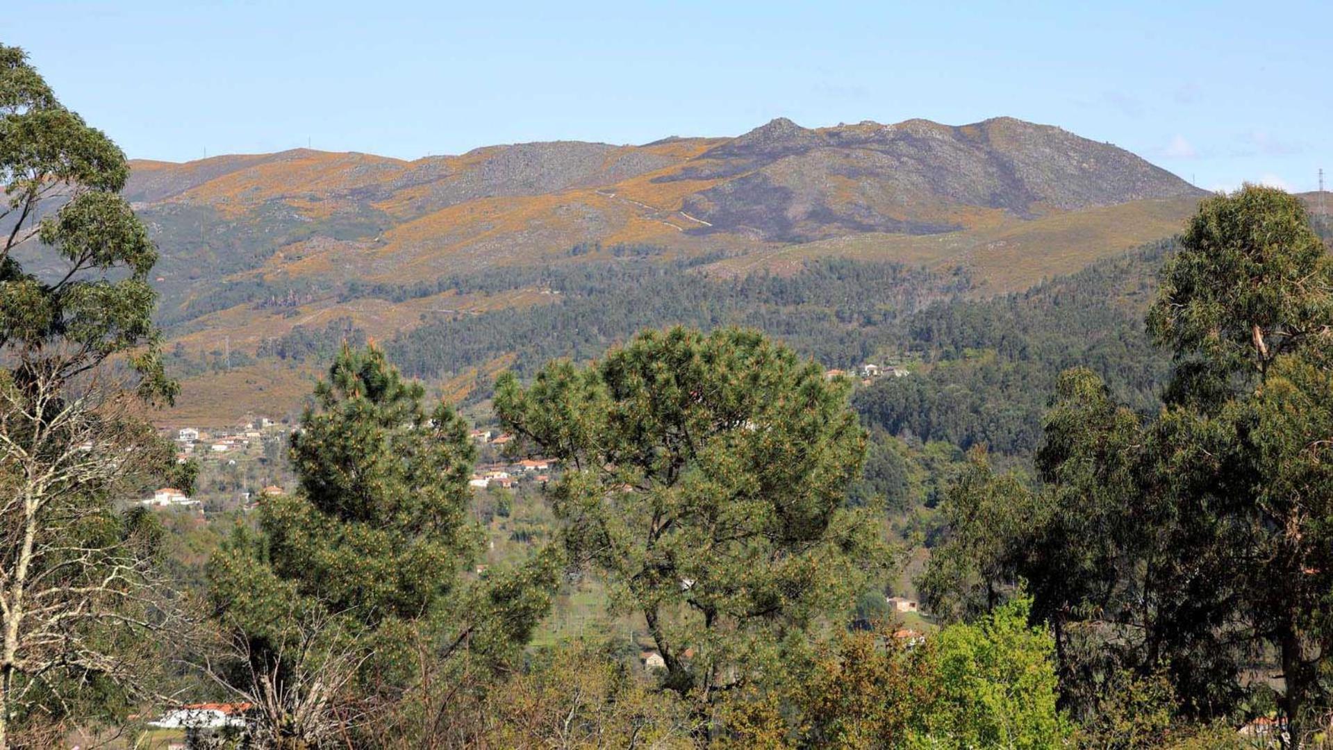 Deluxe Double or Twin Room with Mountain View - Photo 7
