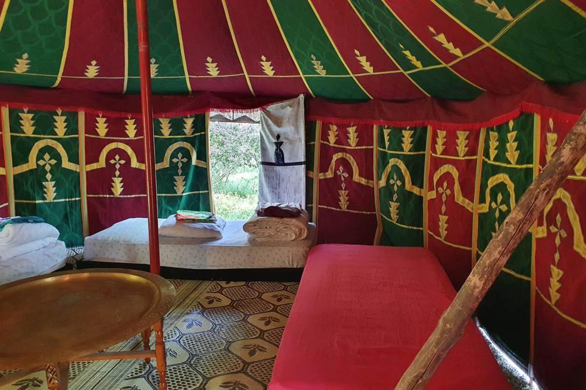 Tent photo 1