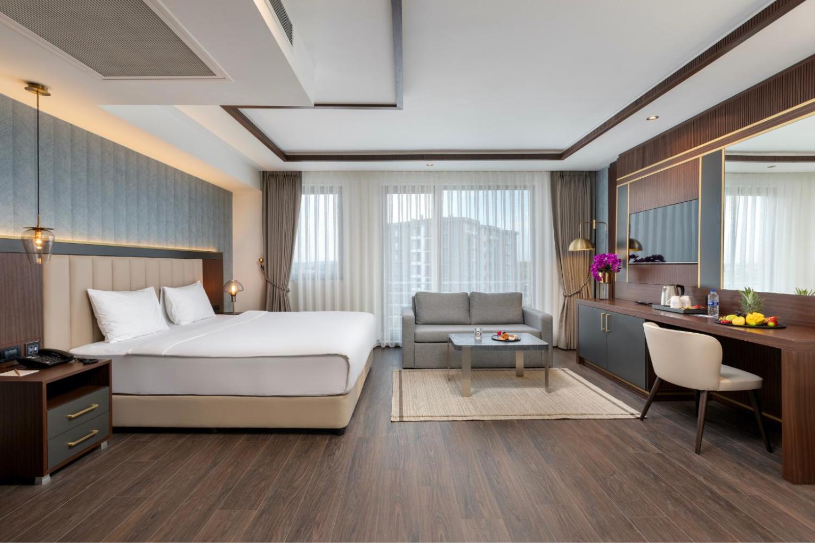 Premium Business Executive Room photo 3
