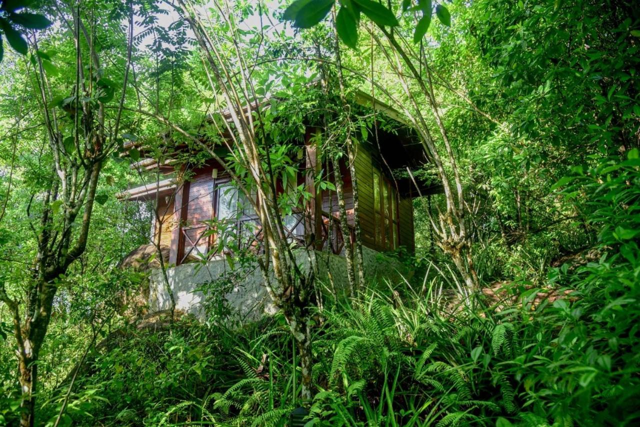 Double Room With Mountain View photo 2