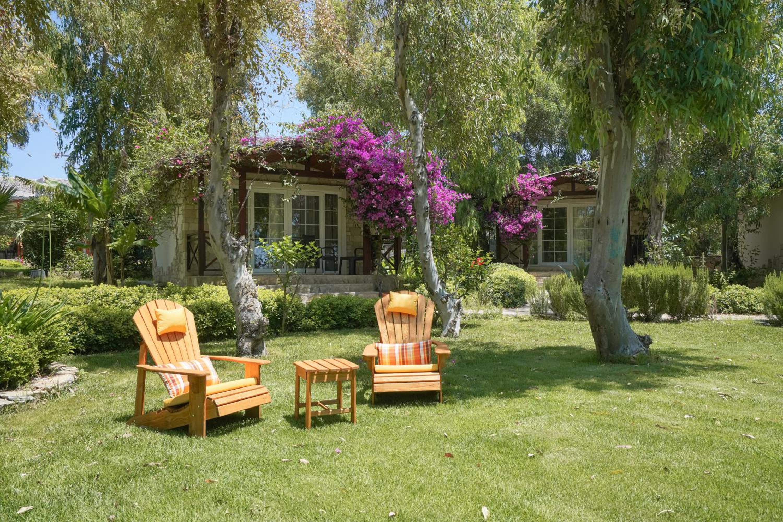 Superior Bungalow photo 3