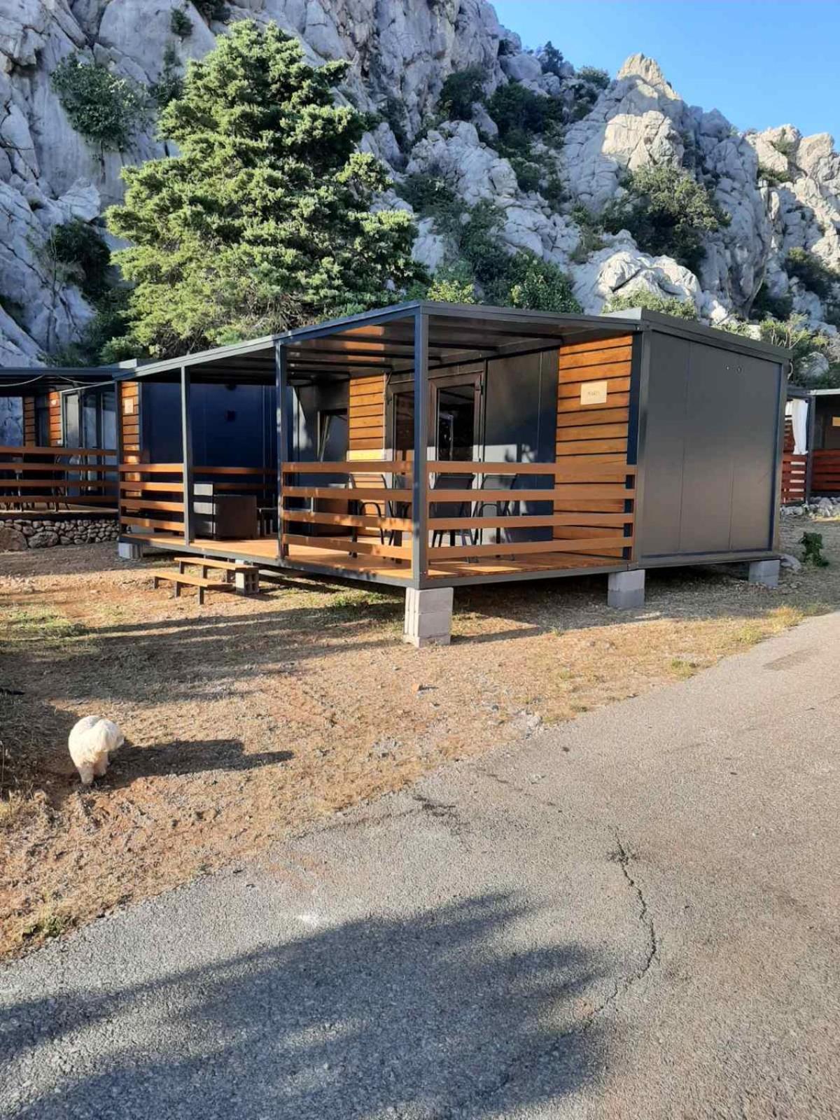 Mobile Home photo 1