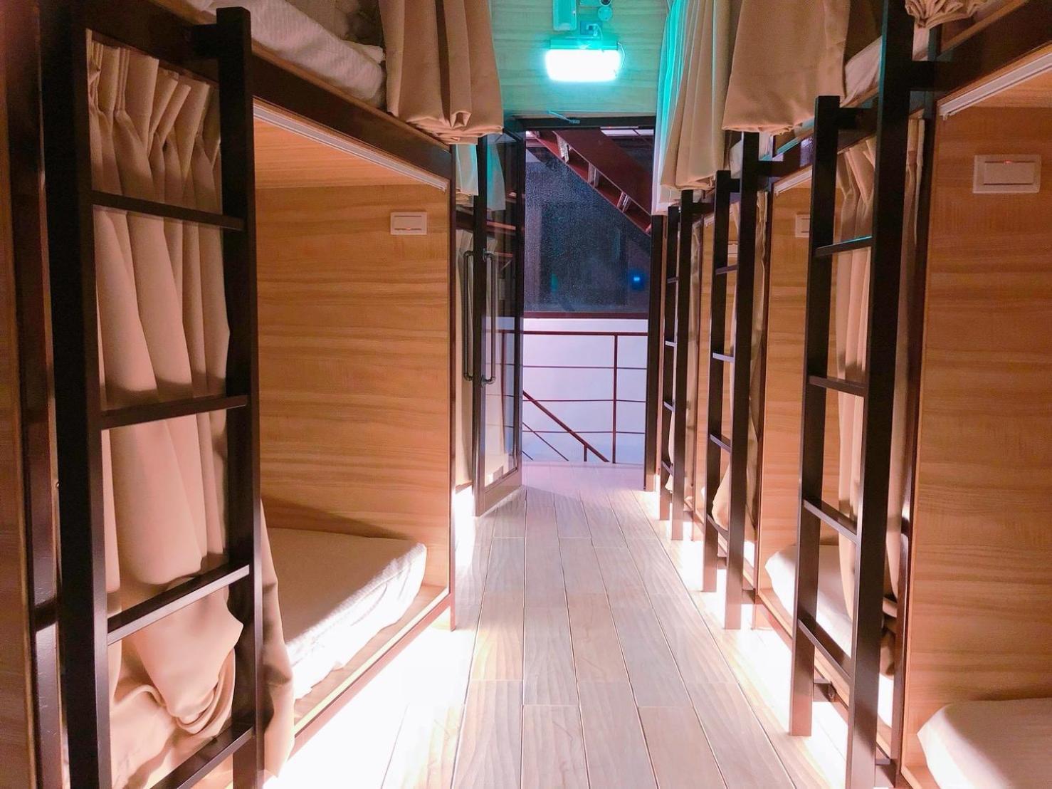 Bunk Bed In Mixed Dormitory Room photo 1