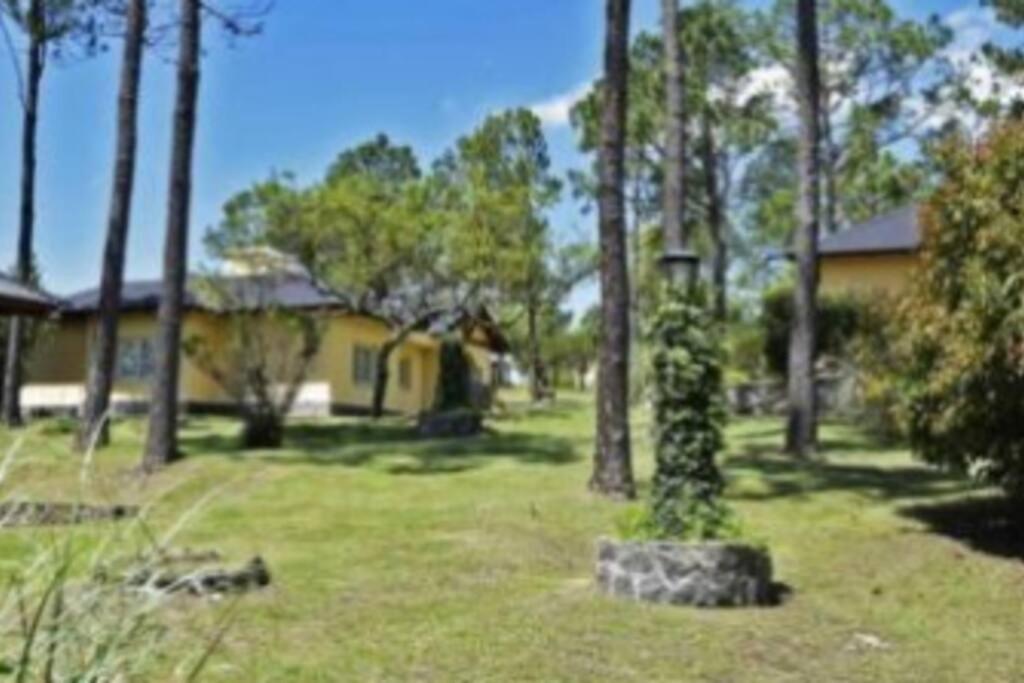Three-Bedroom House photo 3