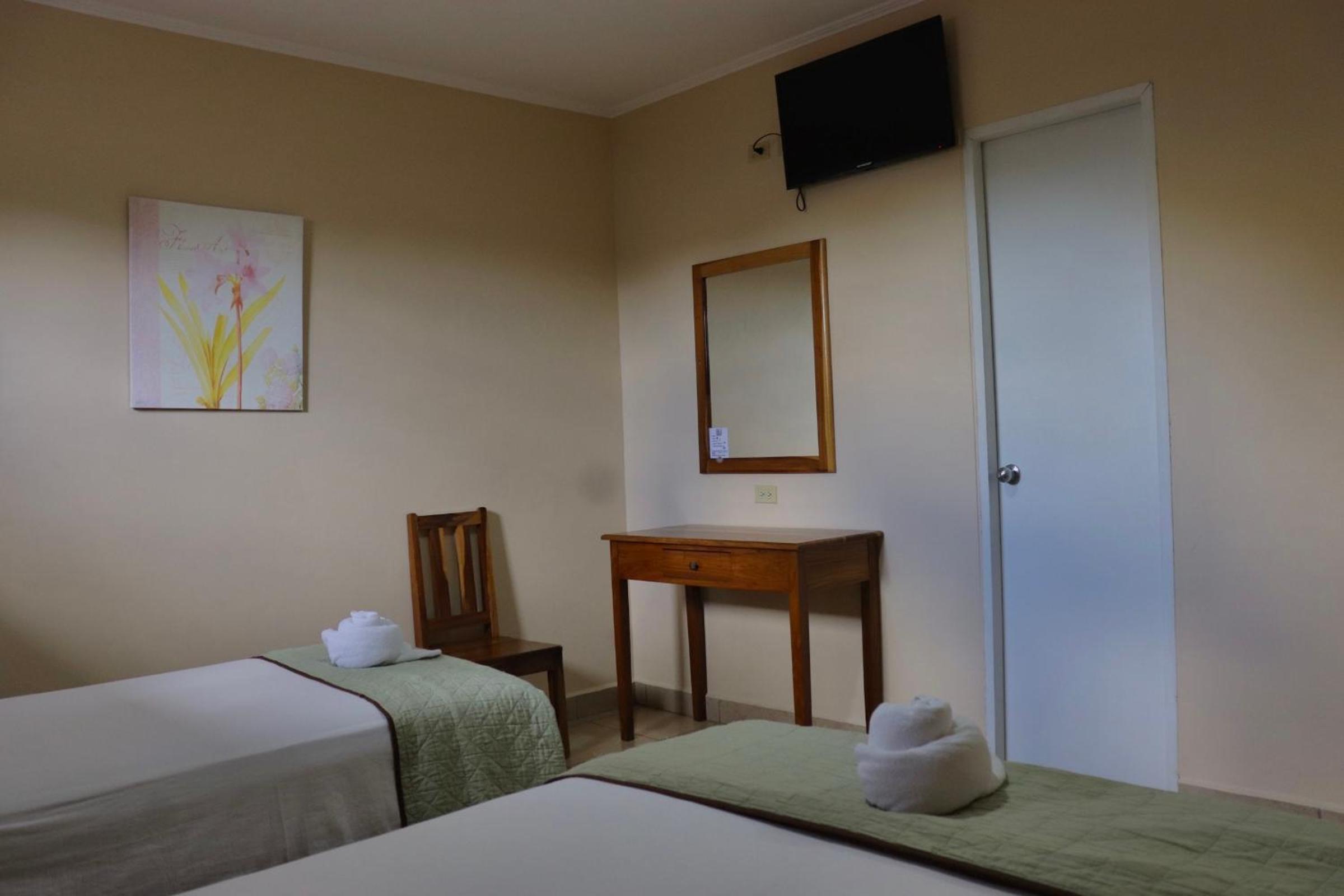 Twin Room photo 3