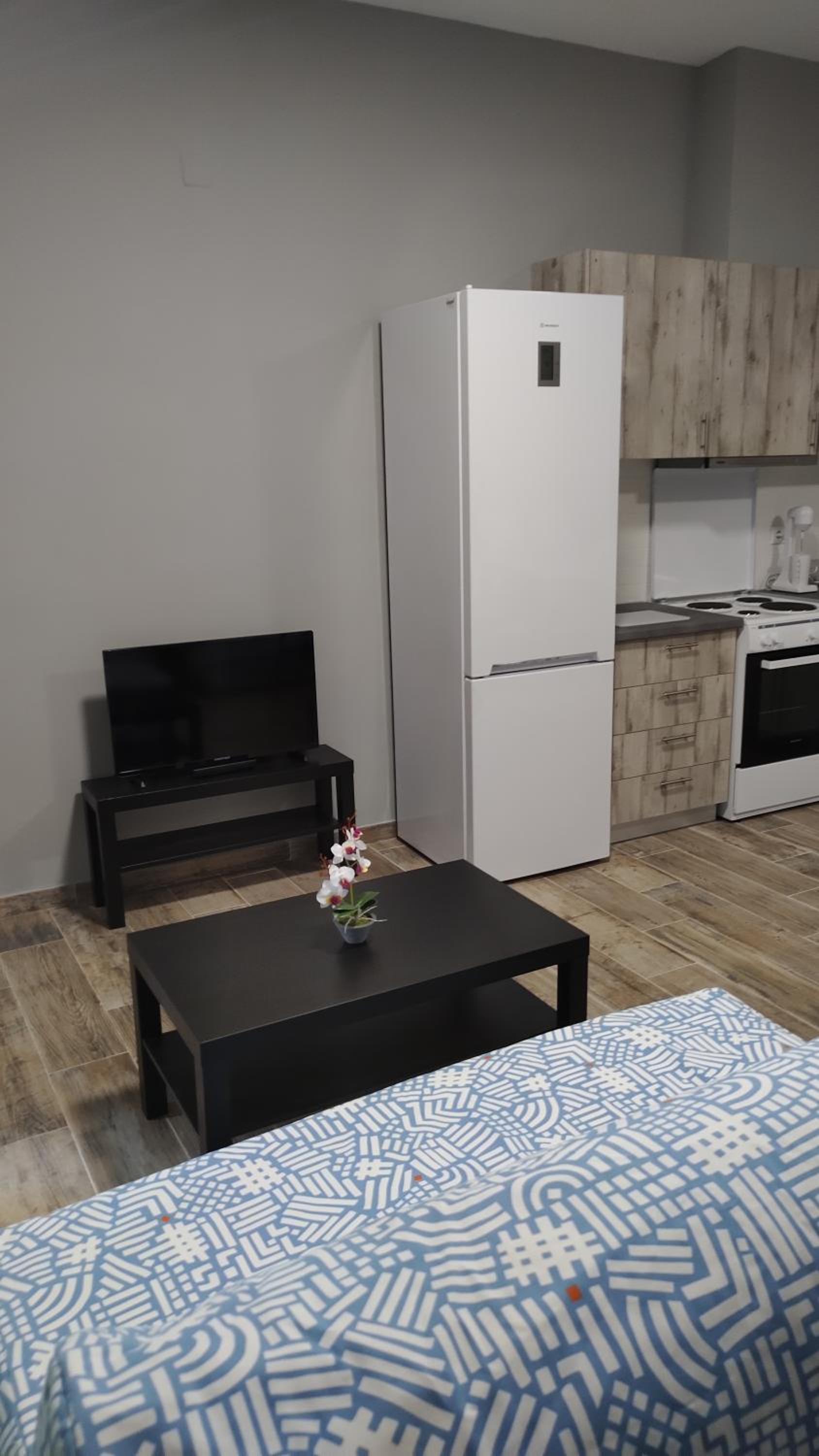 Studio Apartment photo 2