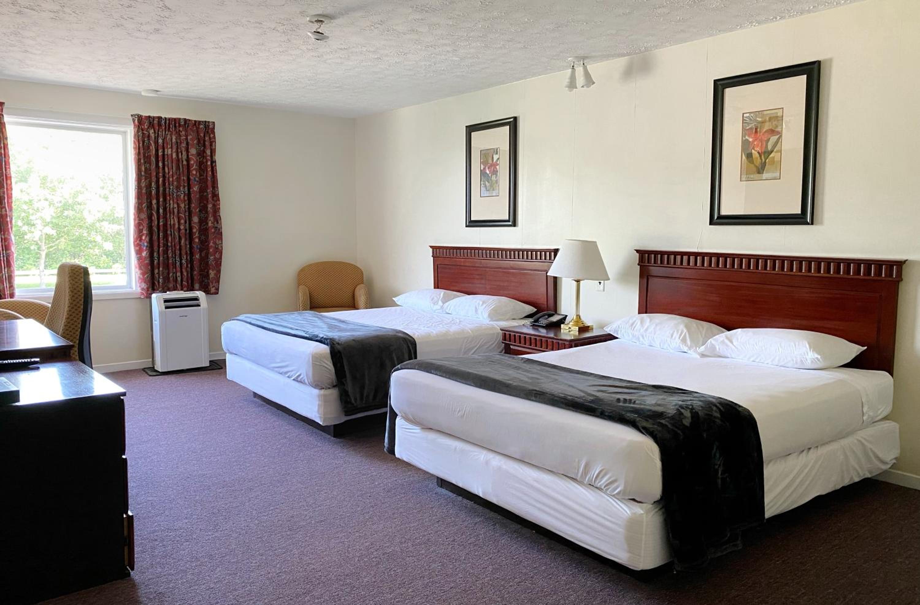 Deluxe Queen Room photo 2