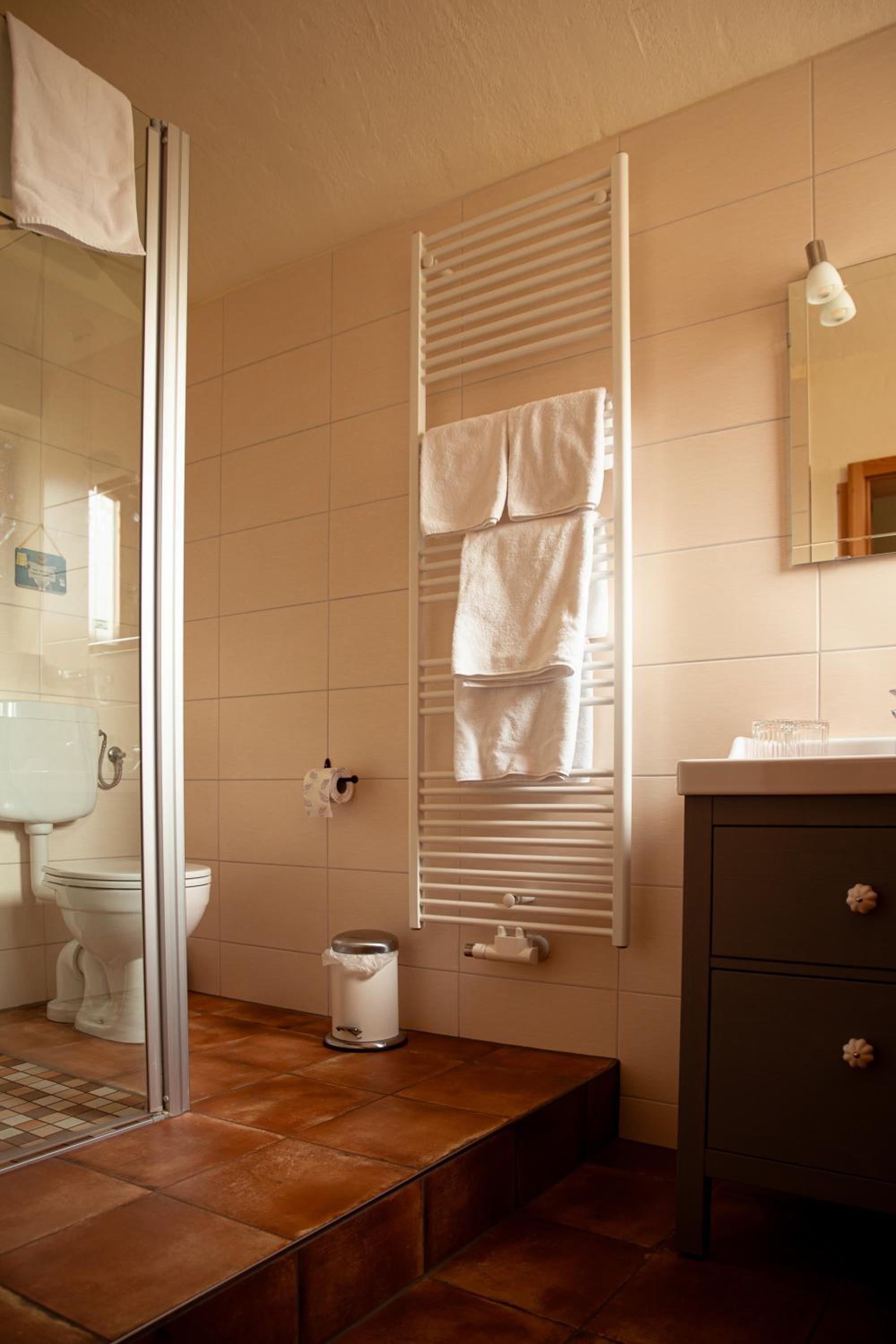 Deluxe Double or Twin Room photo 3
