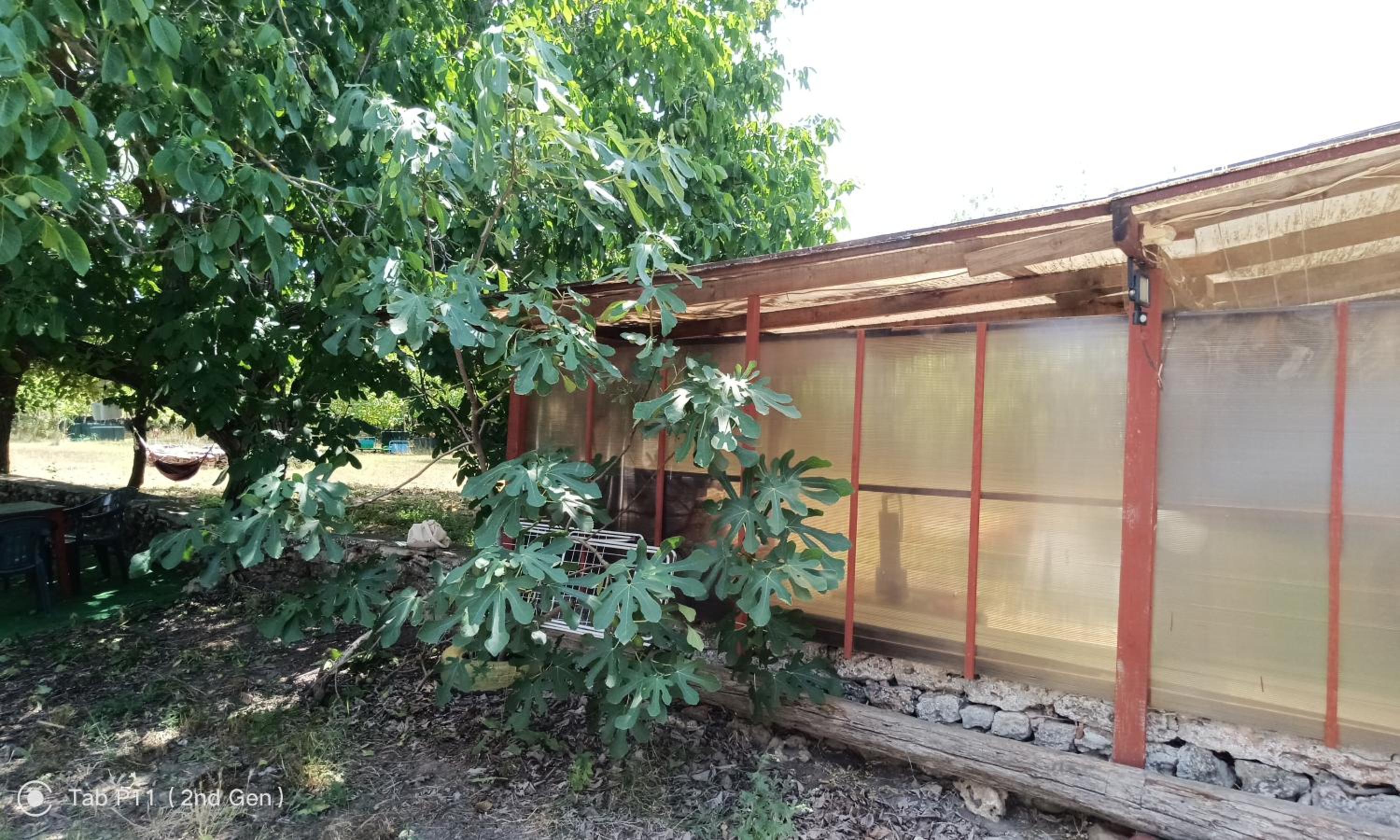 Quadruple Room with Garden View photo 3