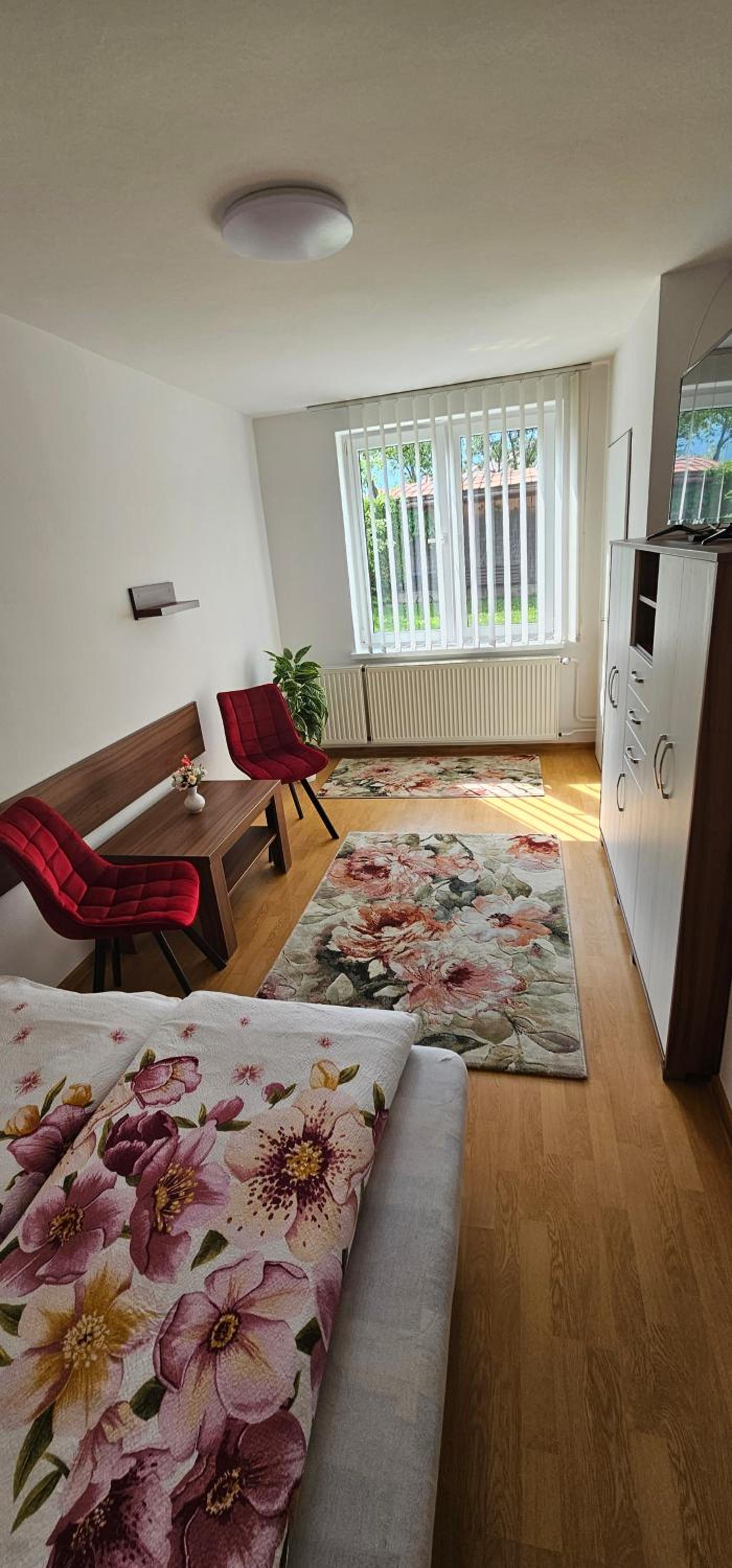 Standard Apartment photo 3