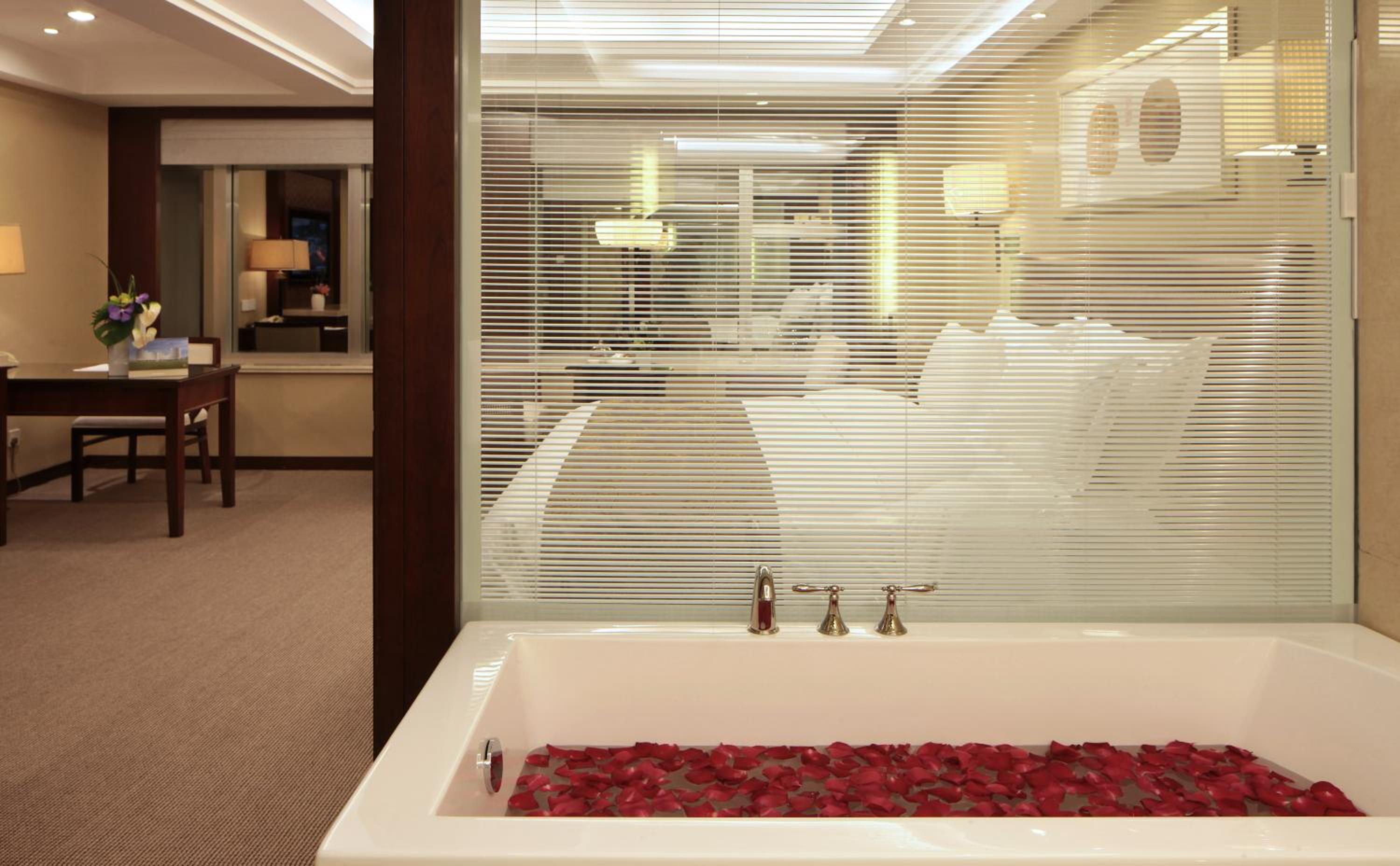 Deluxe Room - Photo 4