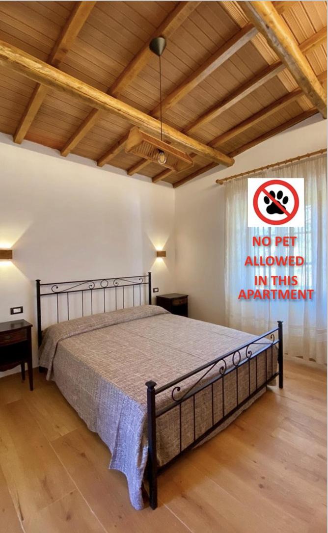 Superior Apartment photo 2