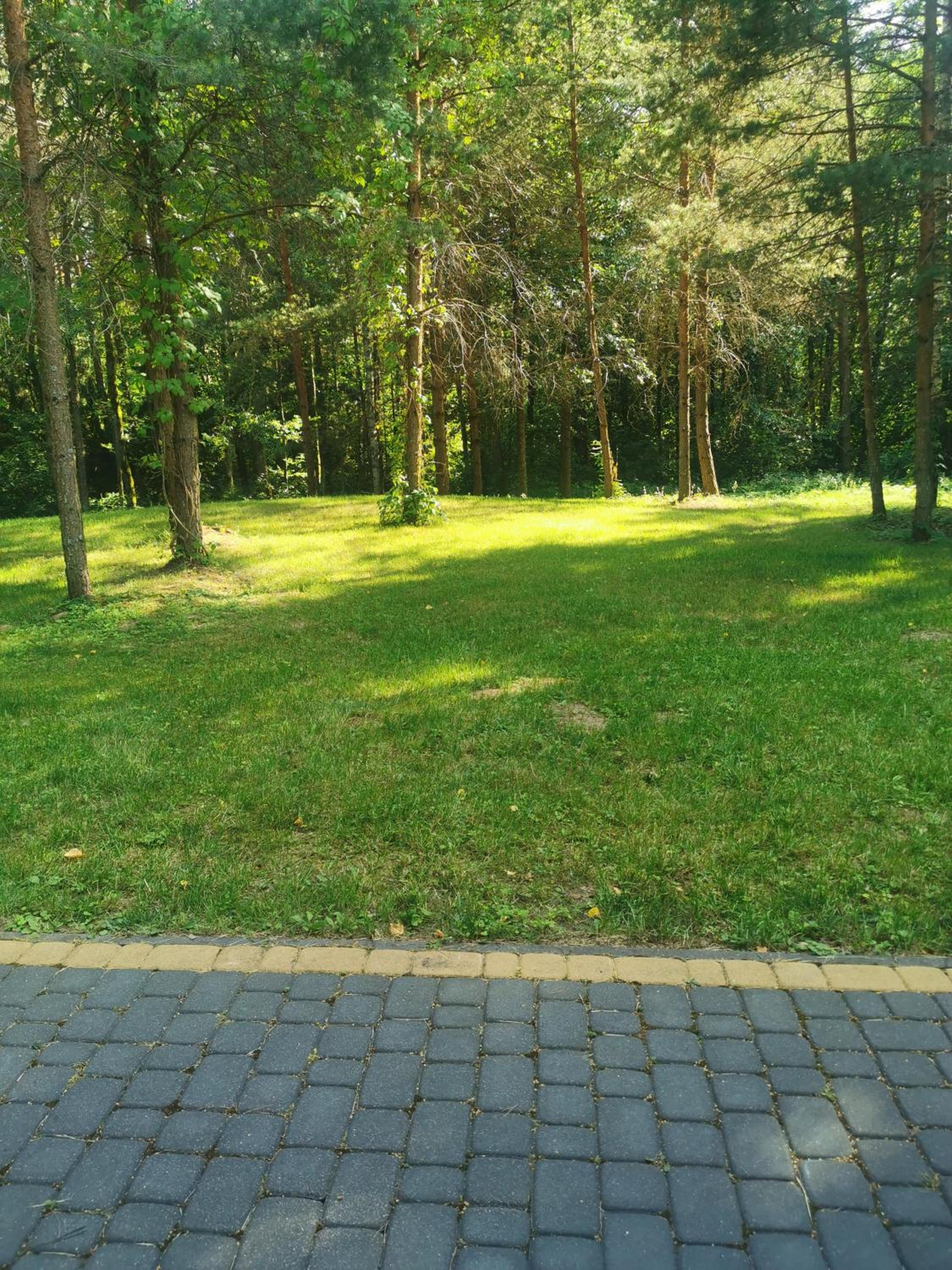 Vacation Home - Photo 21