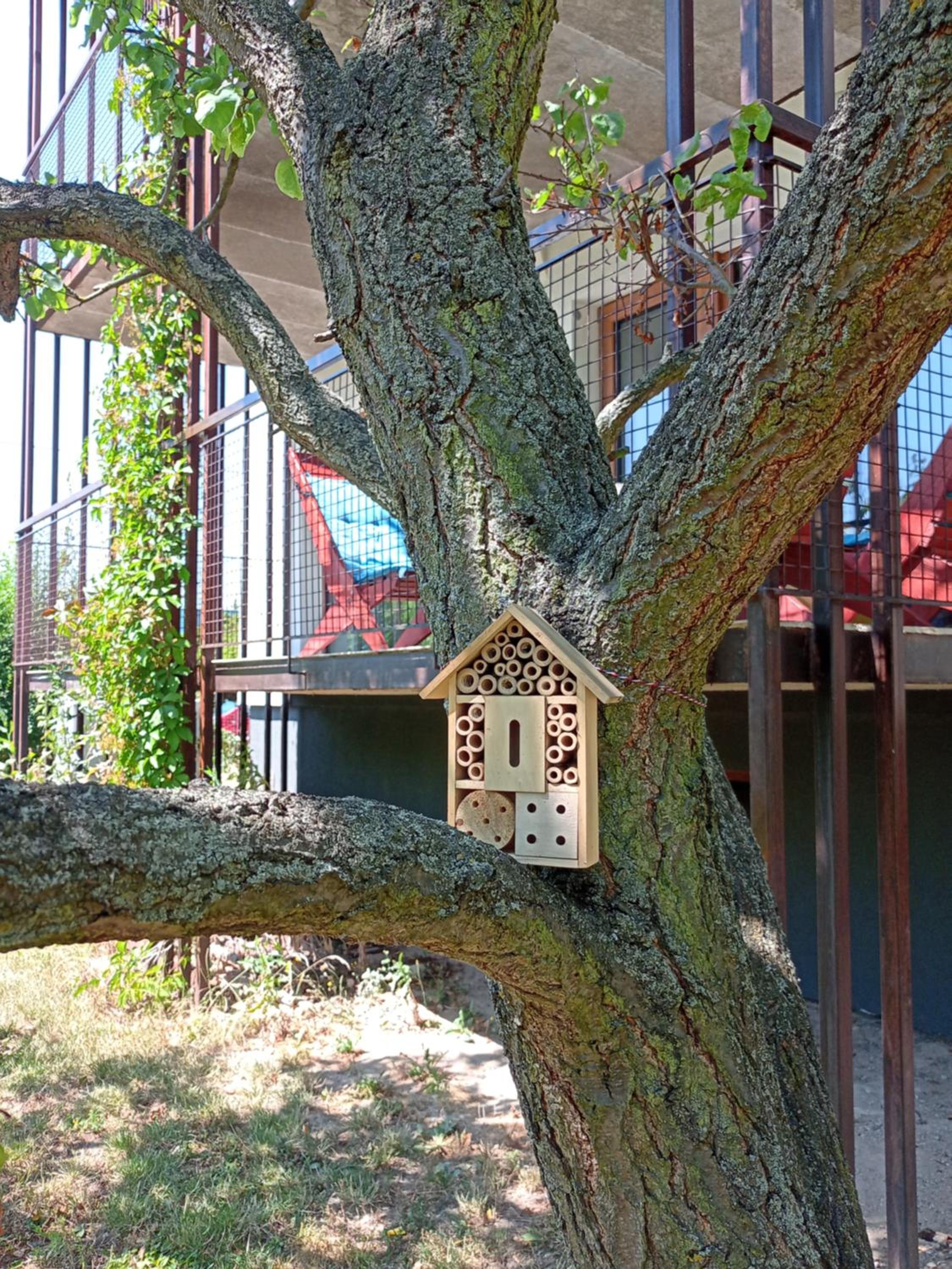 Two-Bedroom Apartment - Photo 13