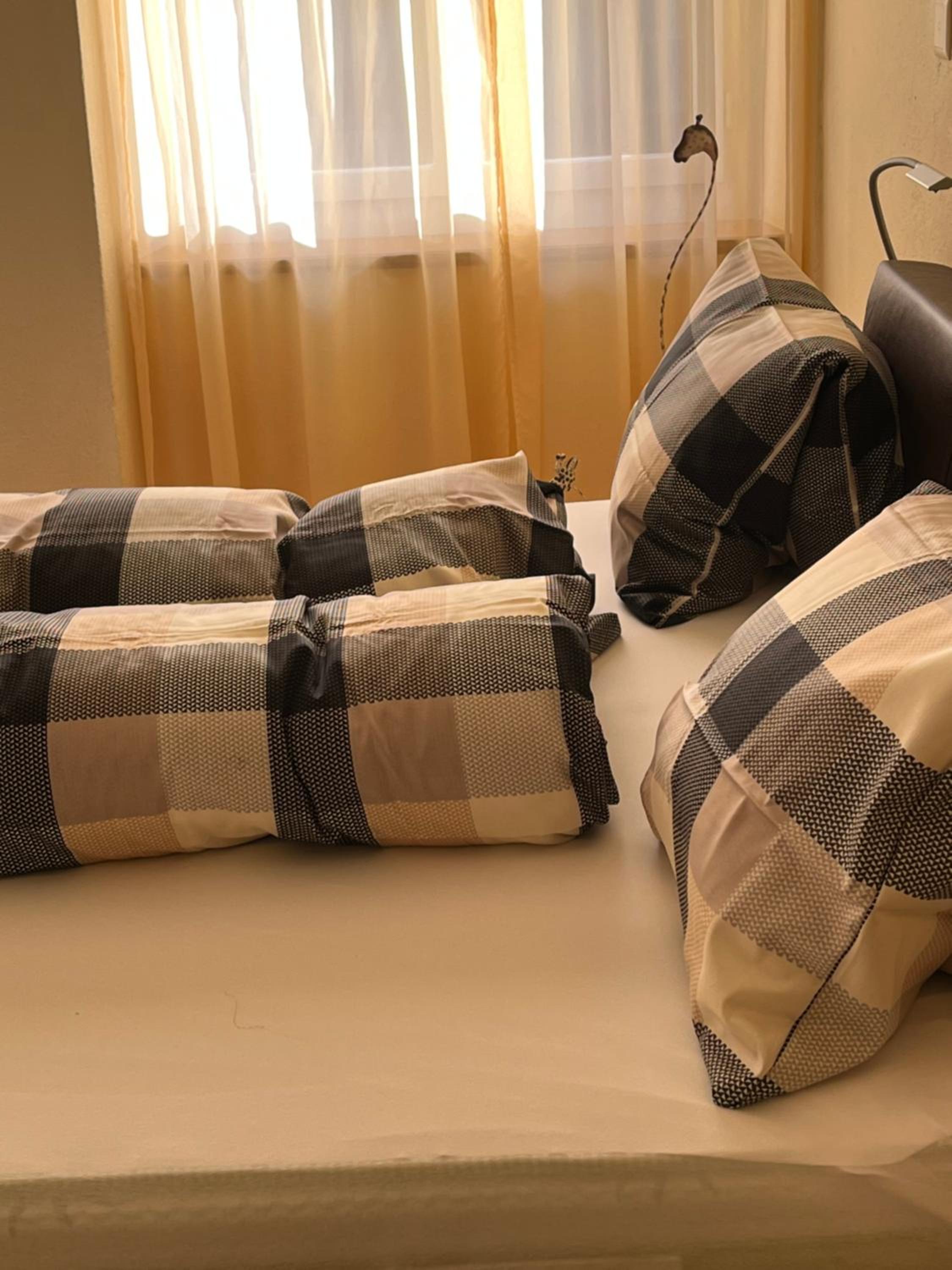 Double Room with Sofa Bed photo 2