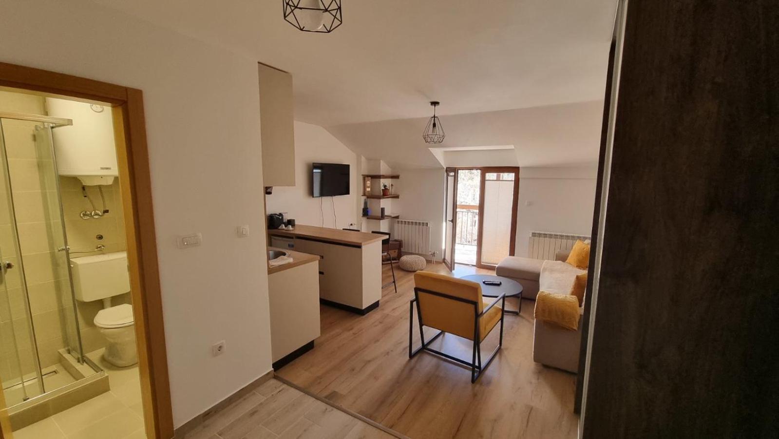 Studio Apartment photo 1