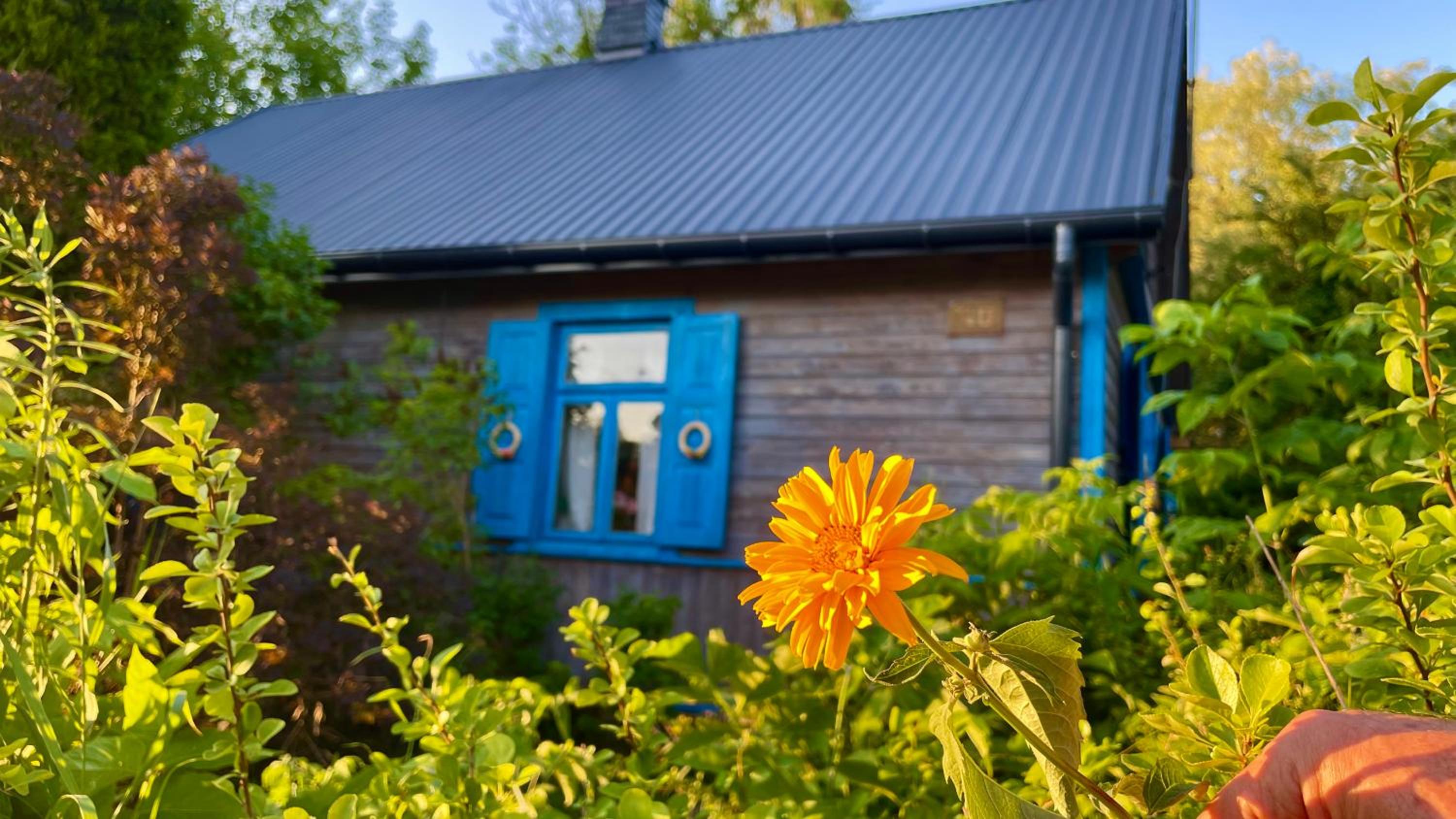 Holiday Home photo 1