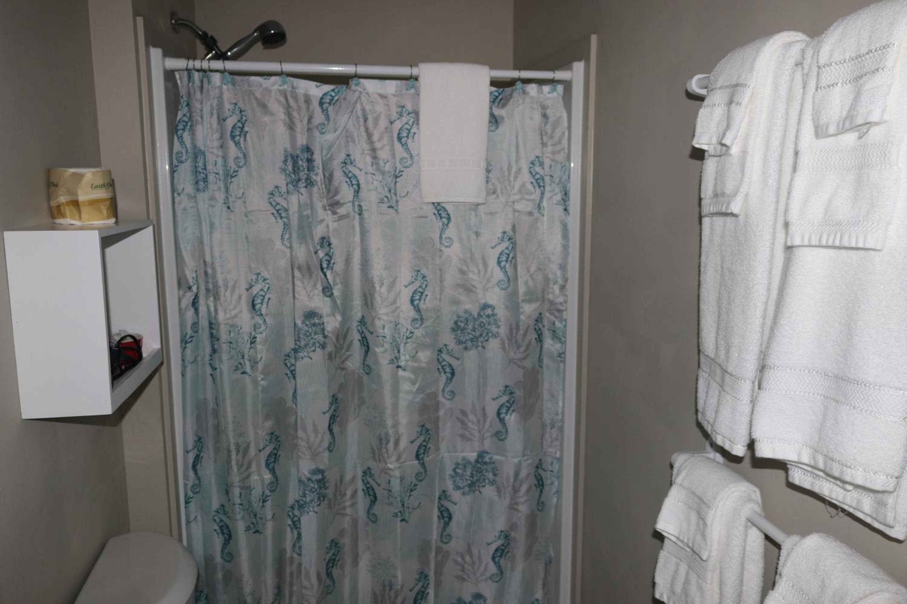 Apartment - Ground Floor - Photo 2