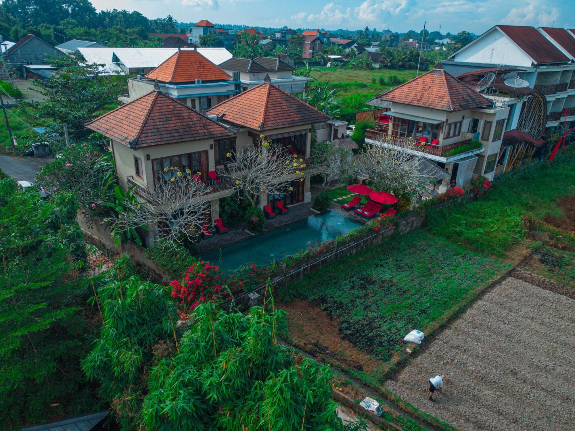 Four-Bedroom Villa with Private Pool - Photo 10