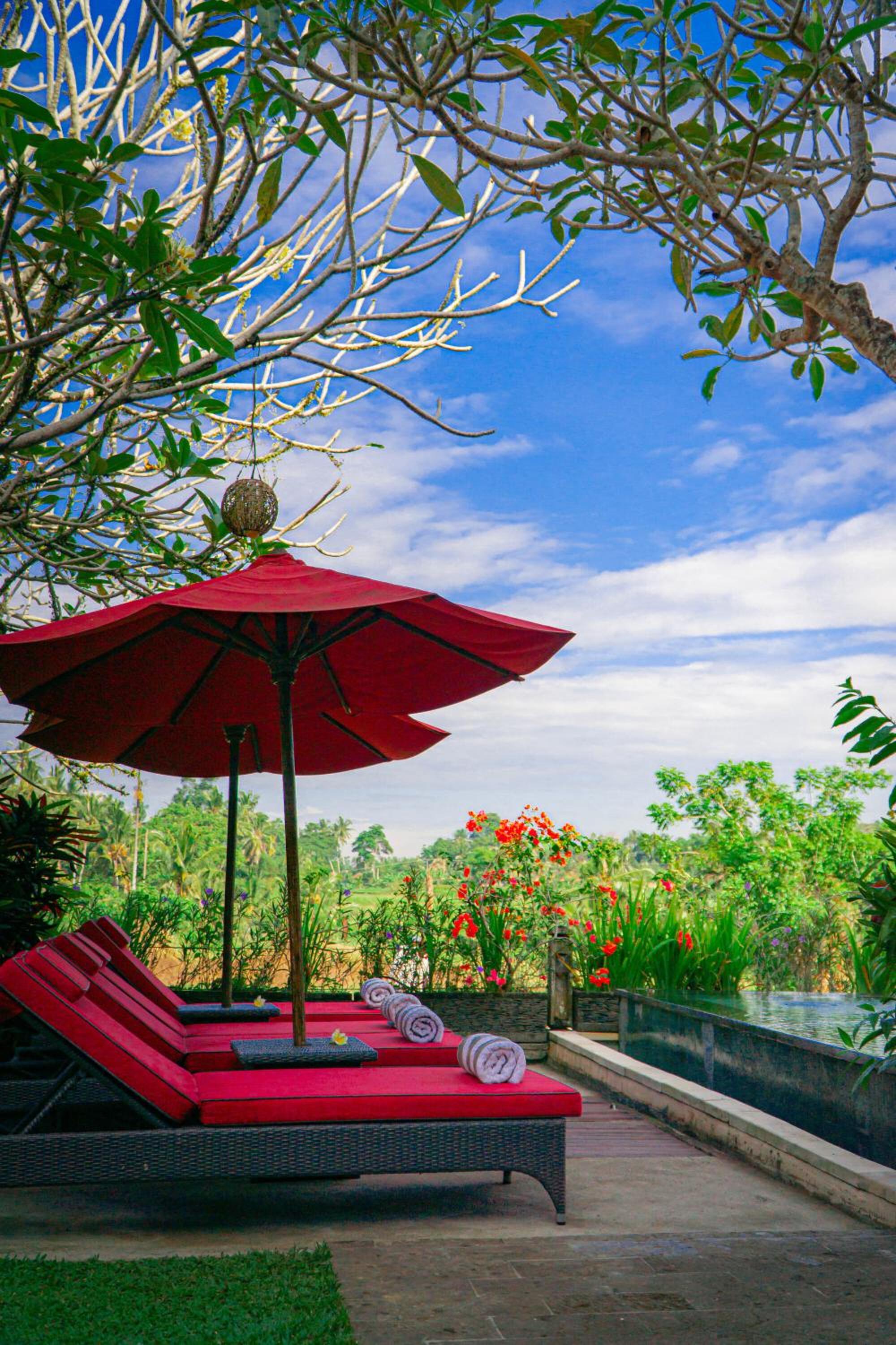 Four-Bedroom Villa with Private Pool - Photo 7