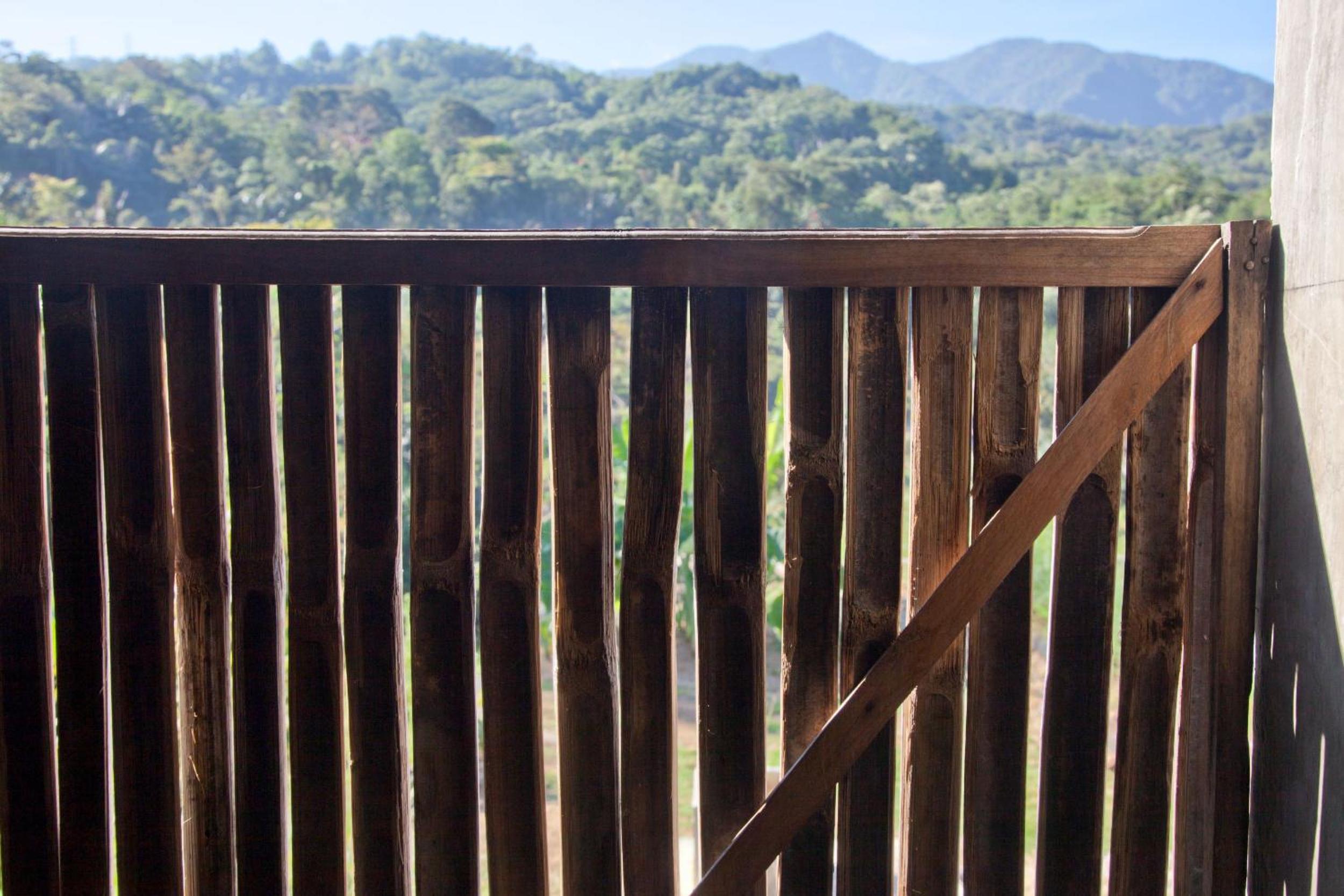 Double Room with Terrace photo 3