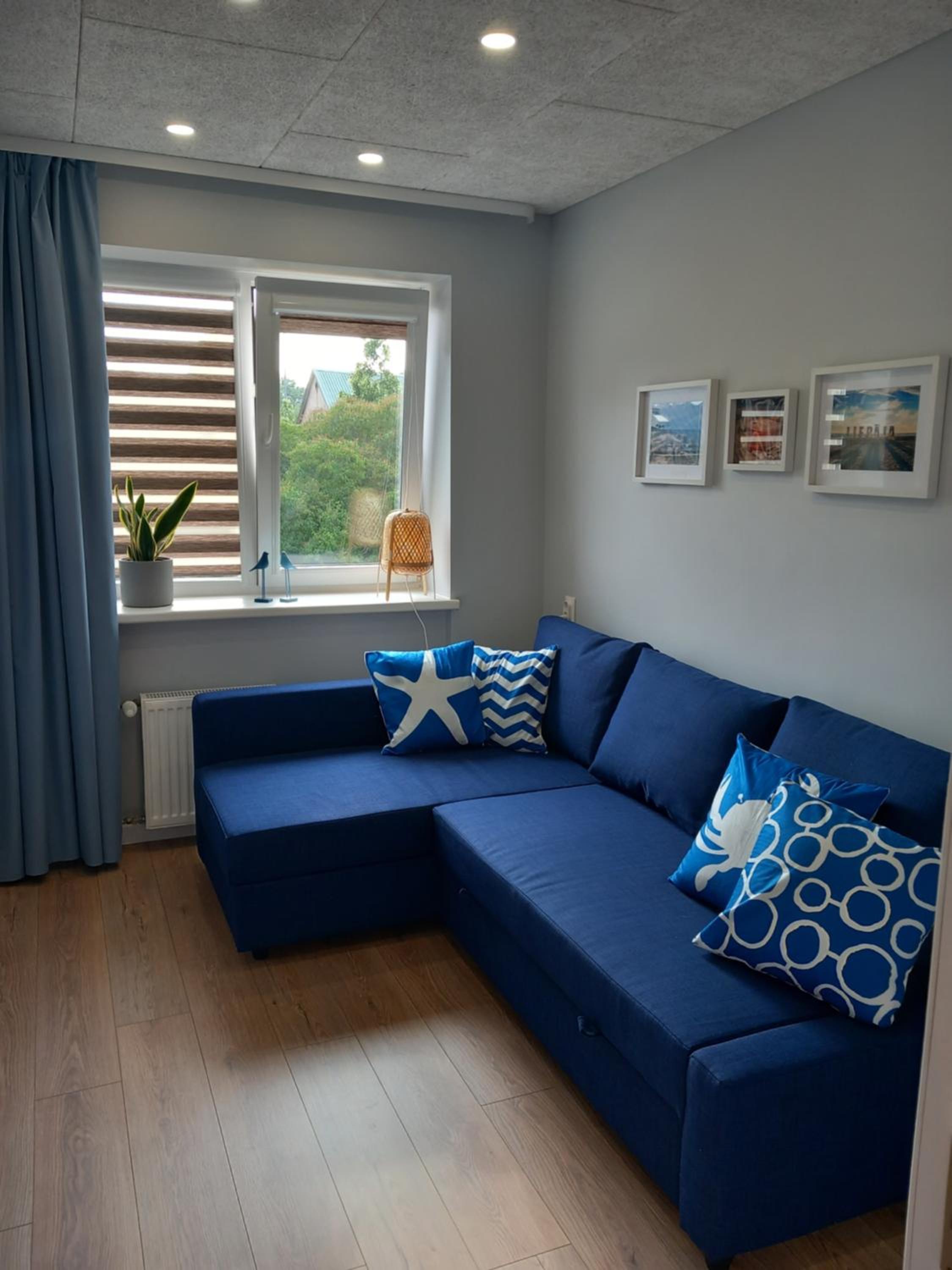 One-Bedroom Apartment photo 2
