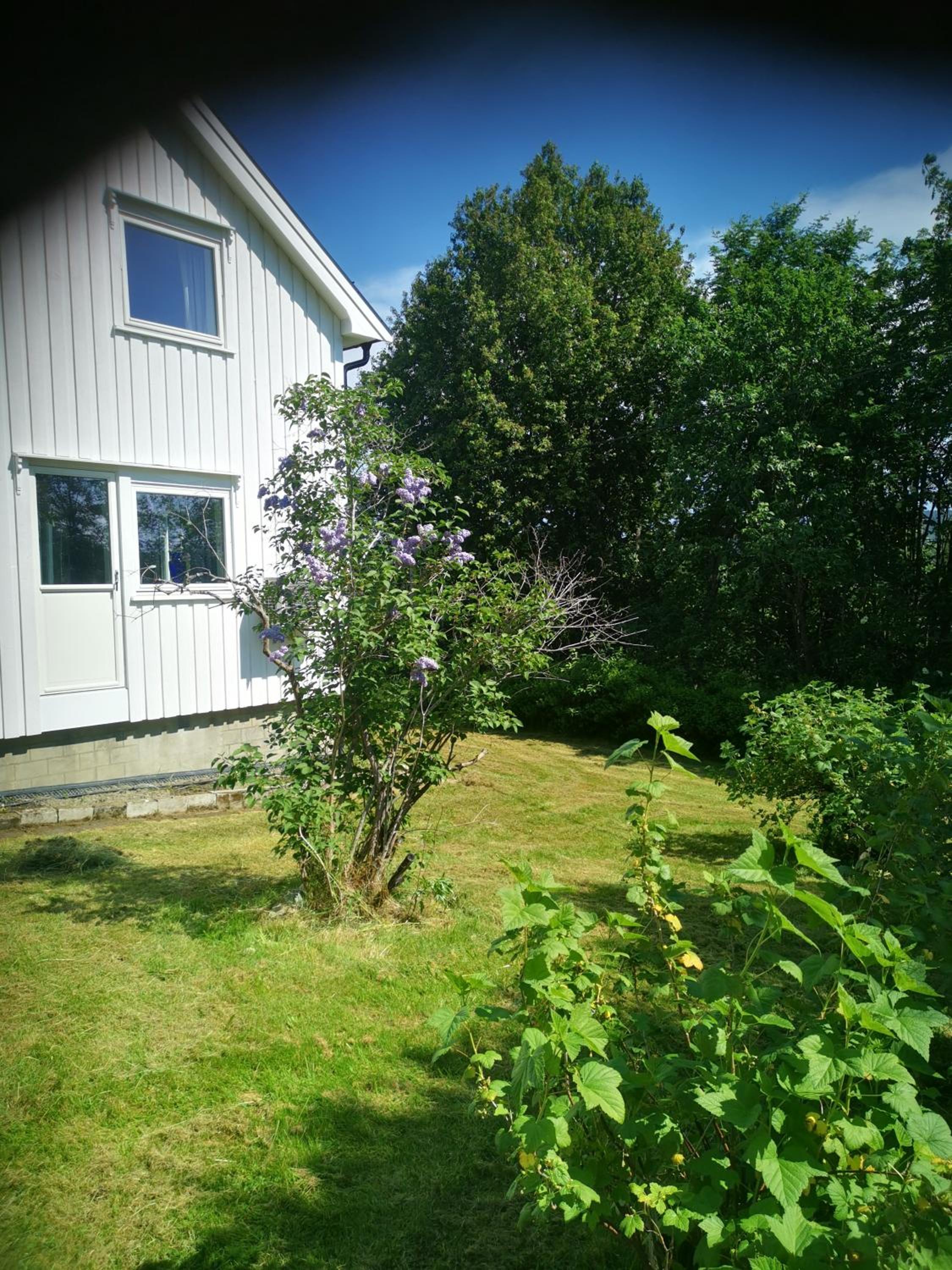 Three-Bedroom House - Photo 8