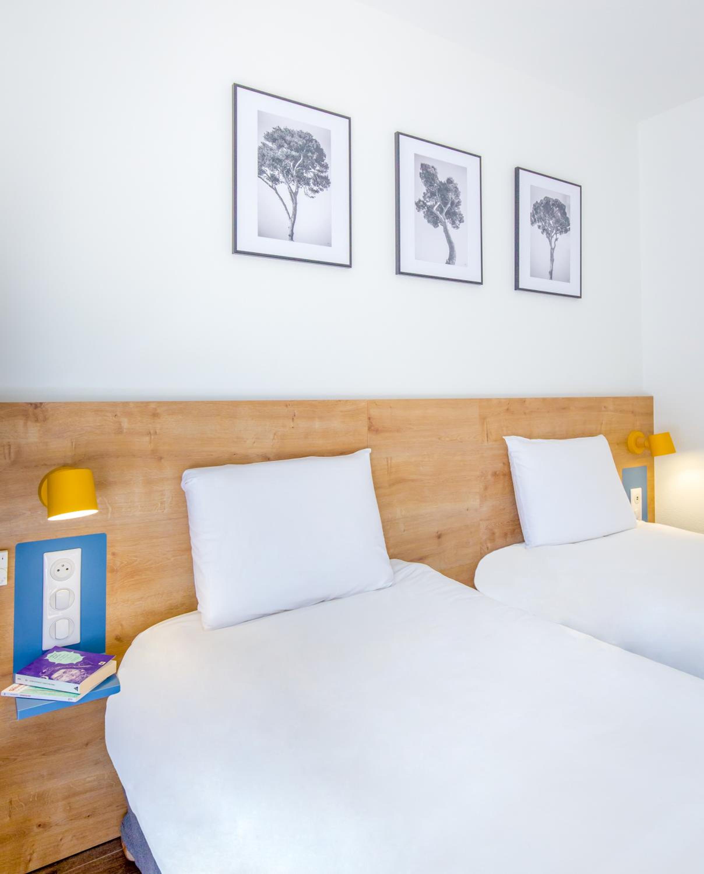 Standard Twin Room photo 3